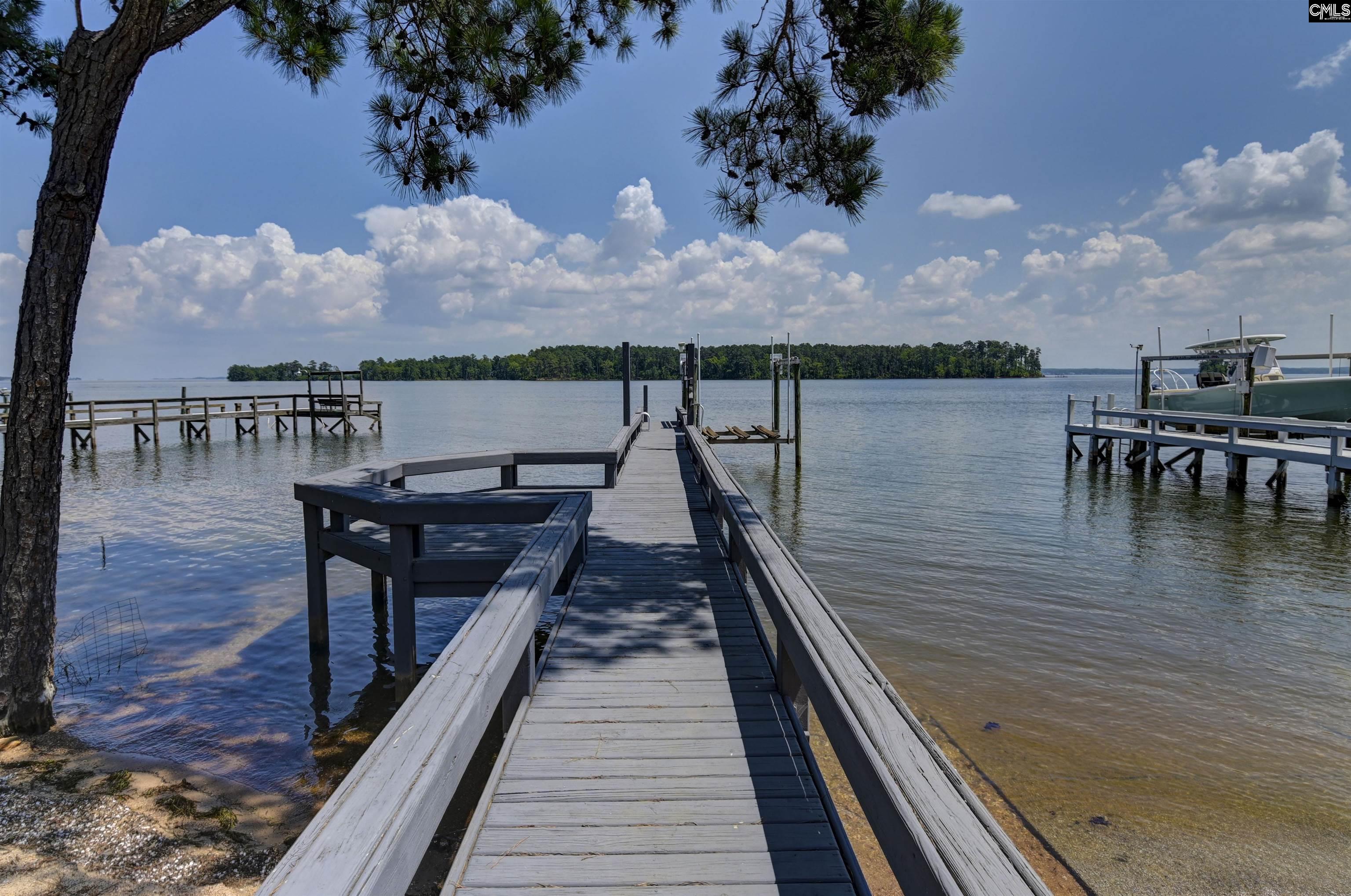 1158 Libby Ariail Circle Chapin, SC 29036