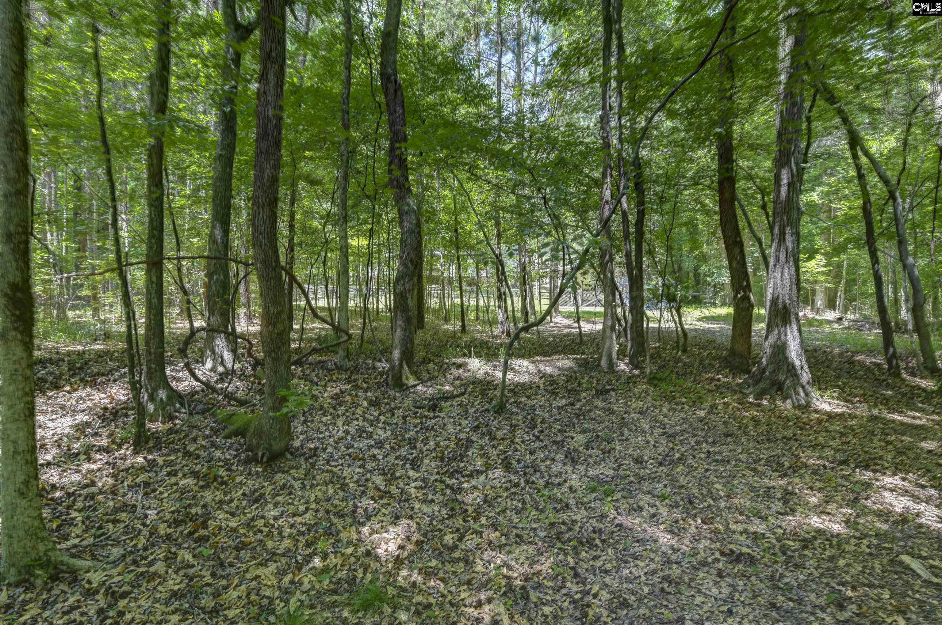 317 Horse Cove Road Gilbert, SC 29054