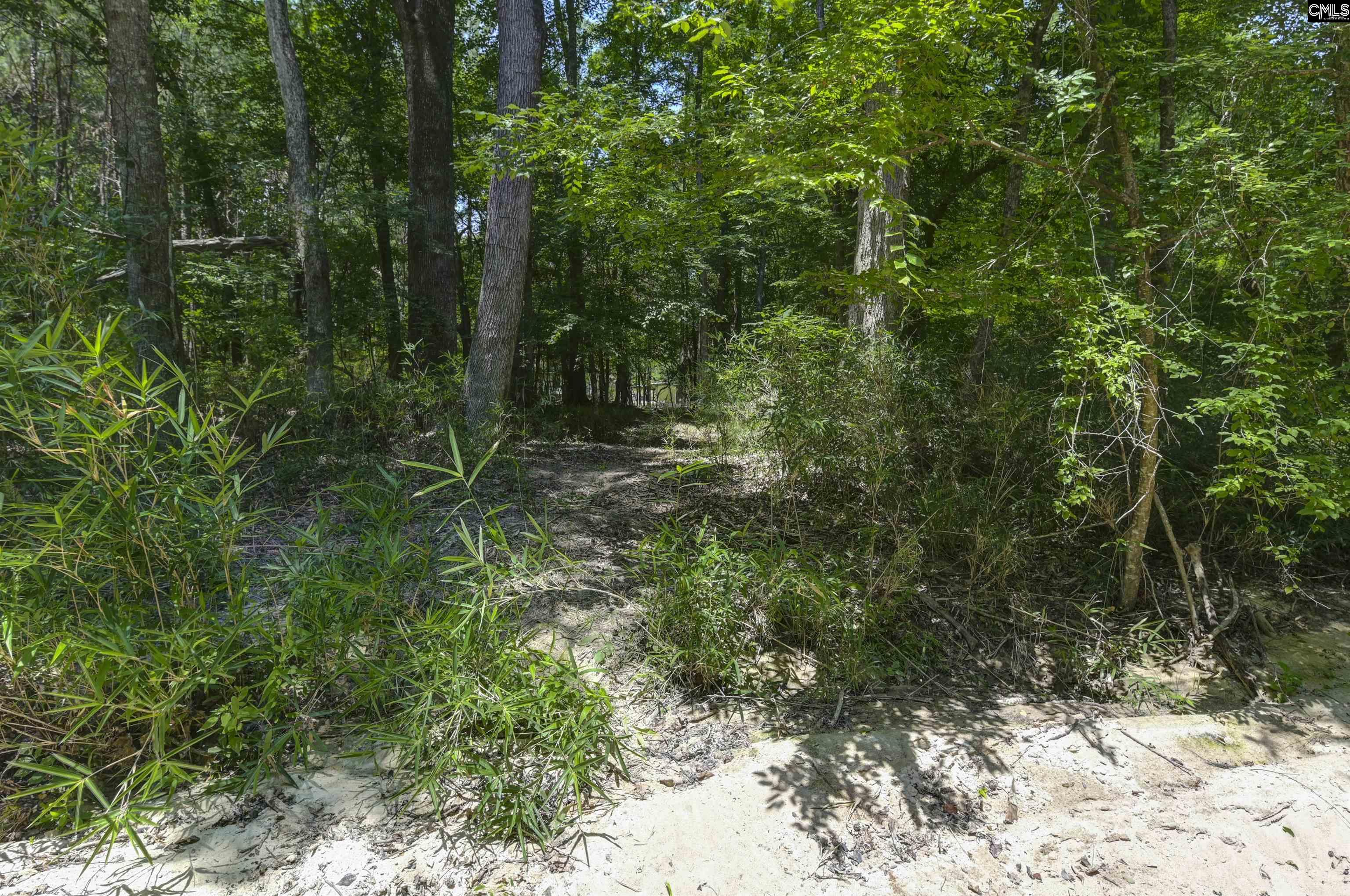 317 Horse Cove Road Gilbert, SC 29054