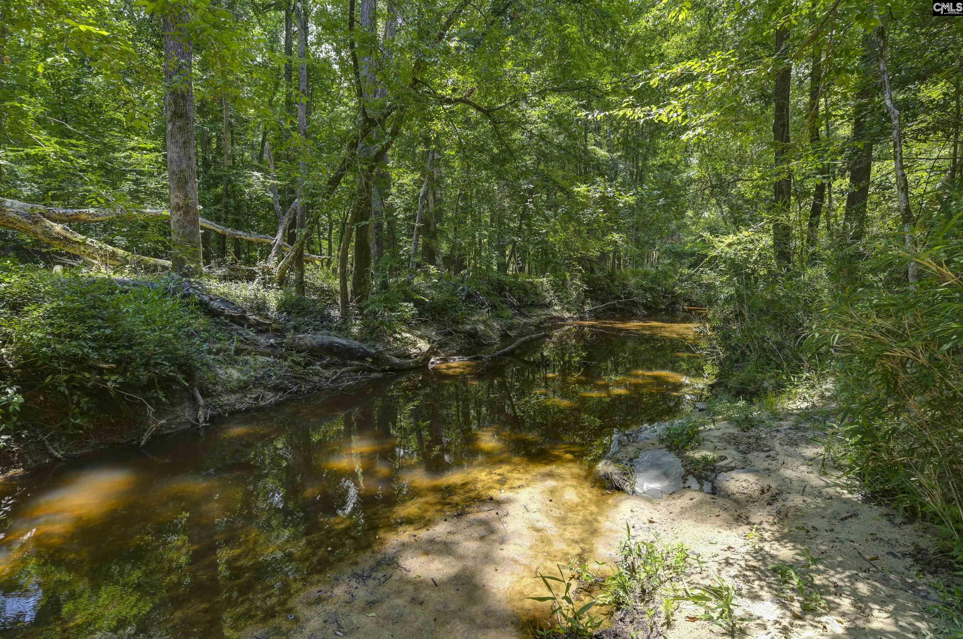 317 Horse Cove Road Gilbert, SC 29054