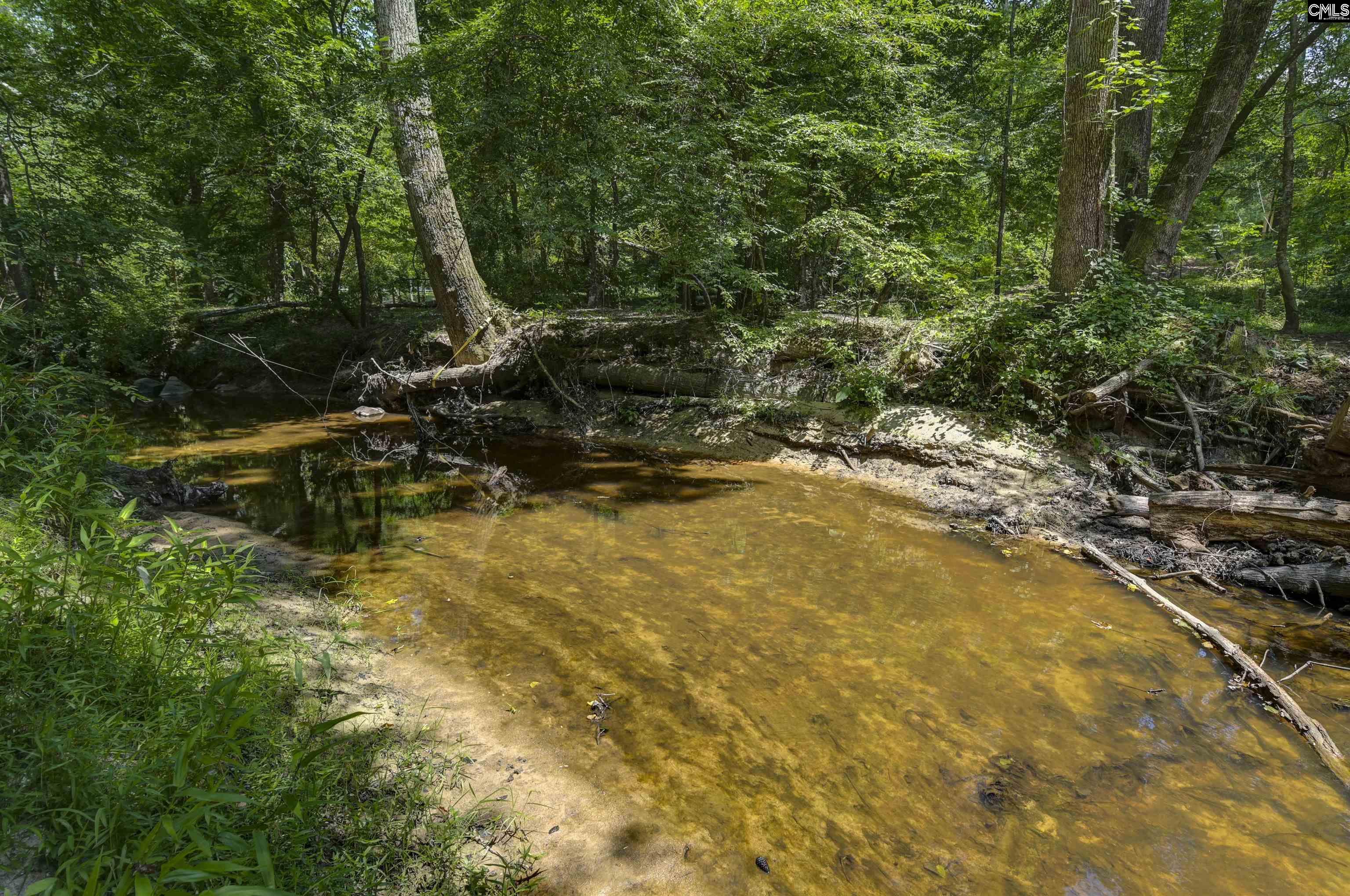 317 Horse Cove Road Gilbert, SC 29054
