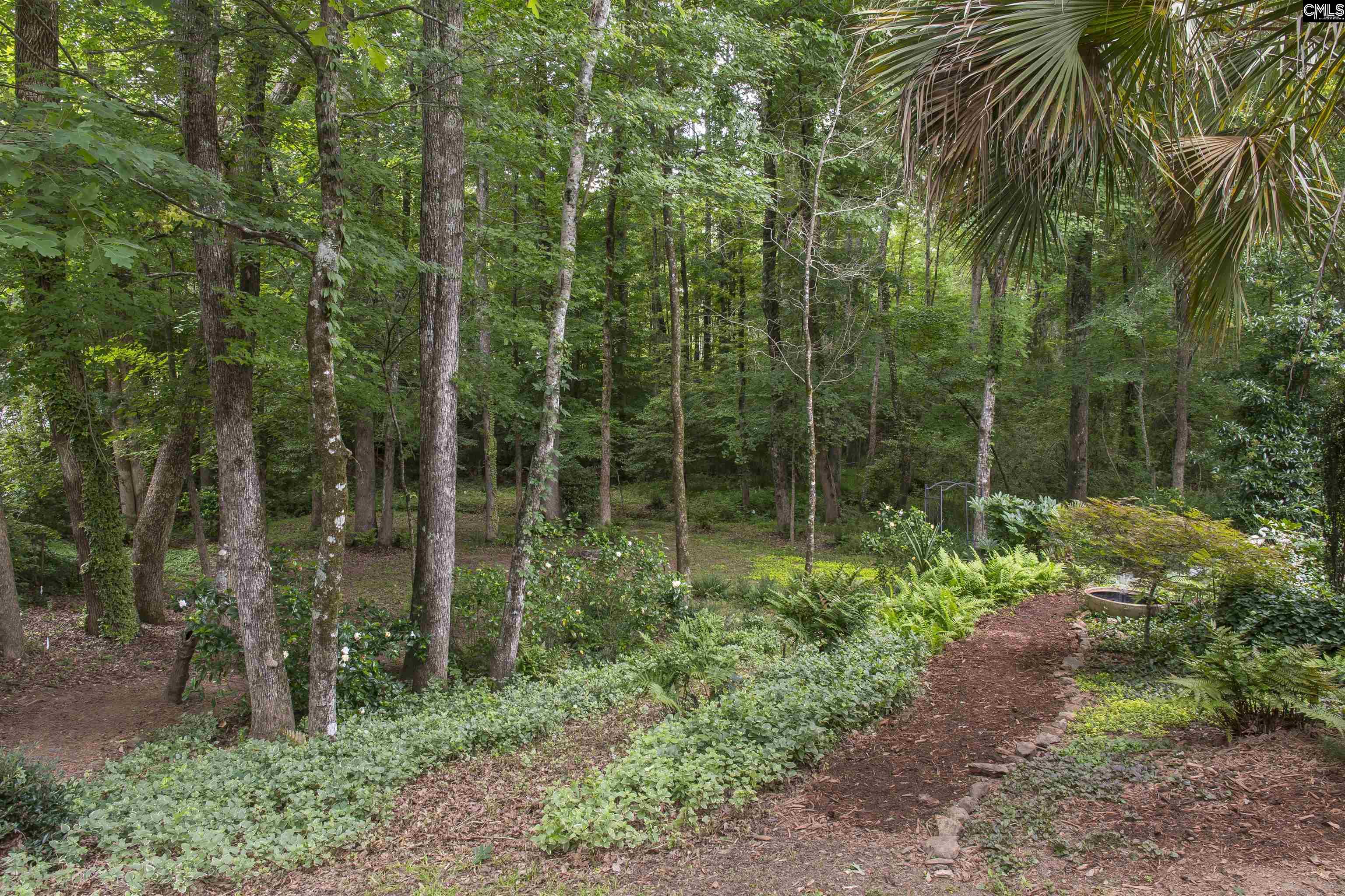 101 Woolbright Avenue Chapin, SC 29036