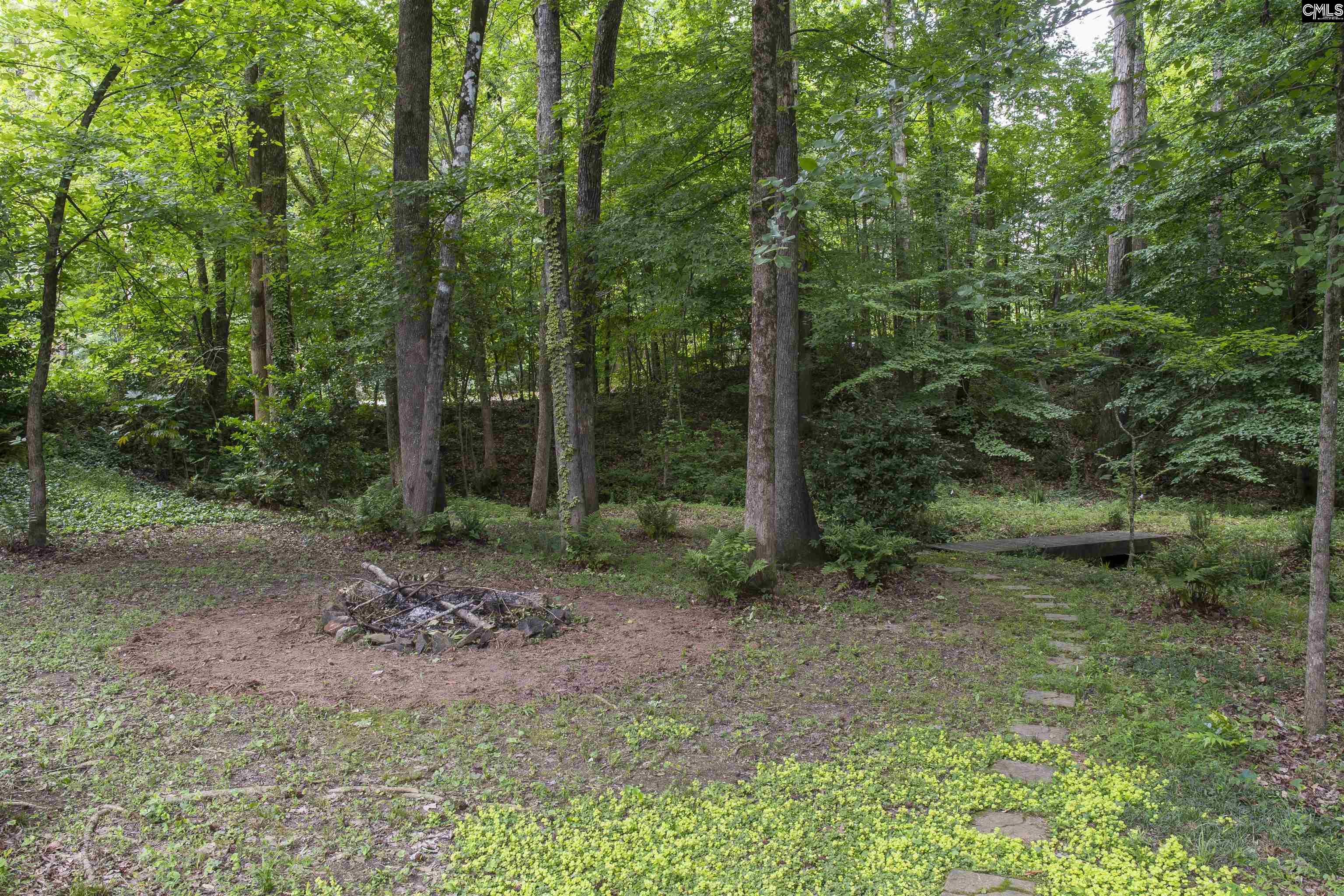 101 Woolbright Avenue Chapin, SC 29036