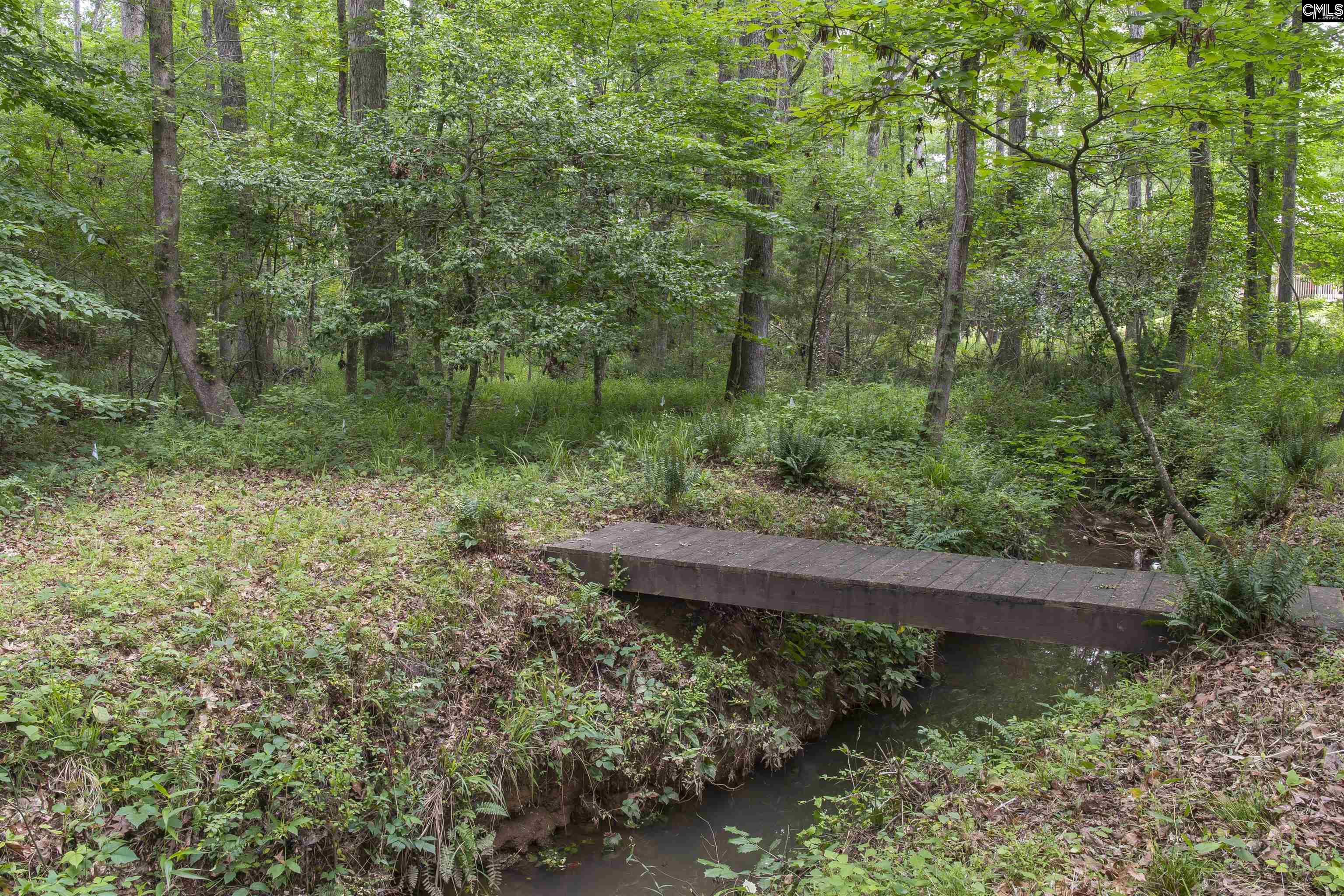 101 Woolbright Avenue Chapin, SC 29036