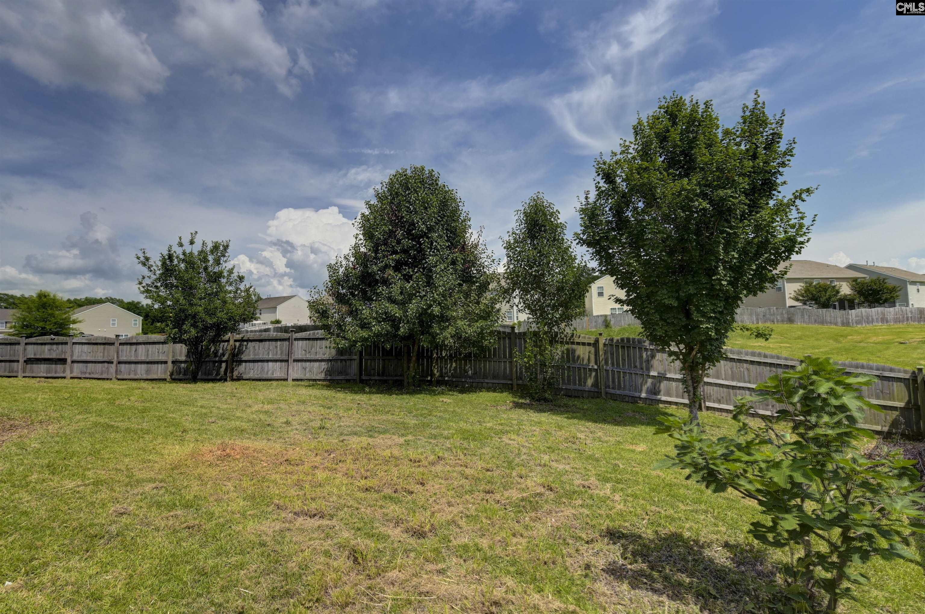 869 Sunseeker Drive Chapin, SC 29036
