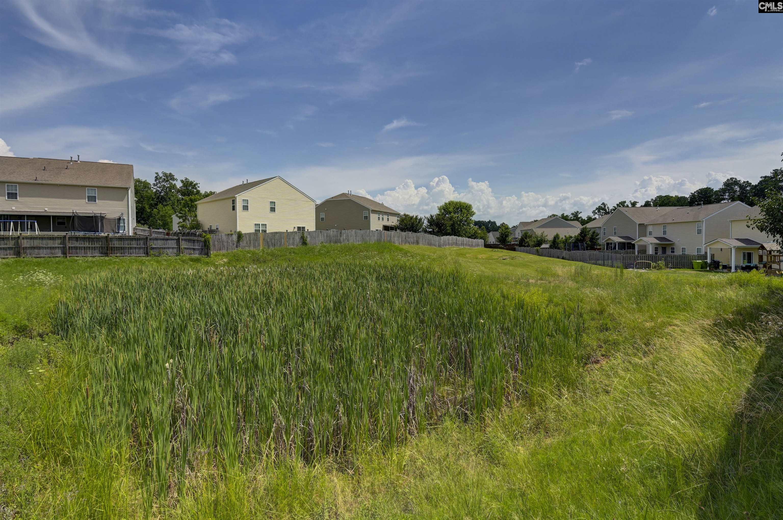 869 Sunseeker Drive Chapin, SC 29036
