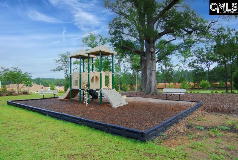 869 Sunseeker Drive Chapin, SC 29036