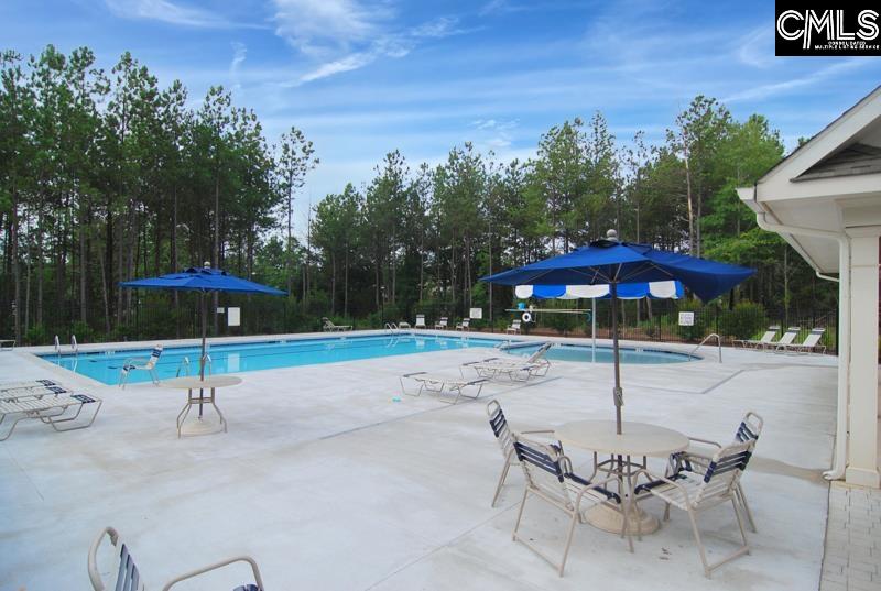 869 Sunseeker Drive Chapin, SC 29036