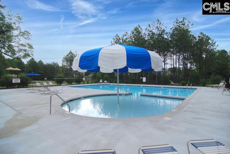 869 Sunseeker Drive Chapin, SC 29036