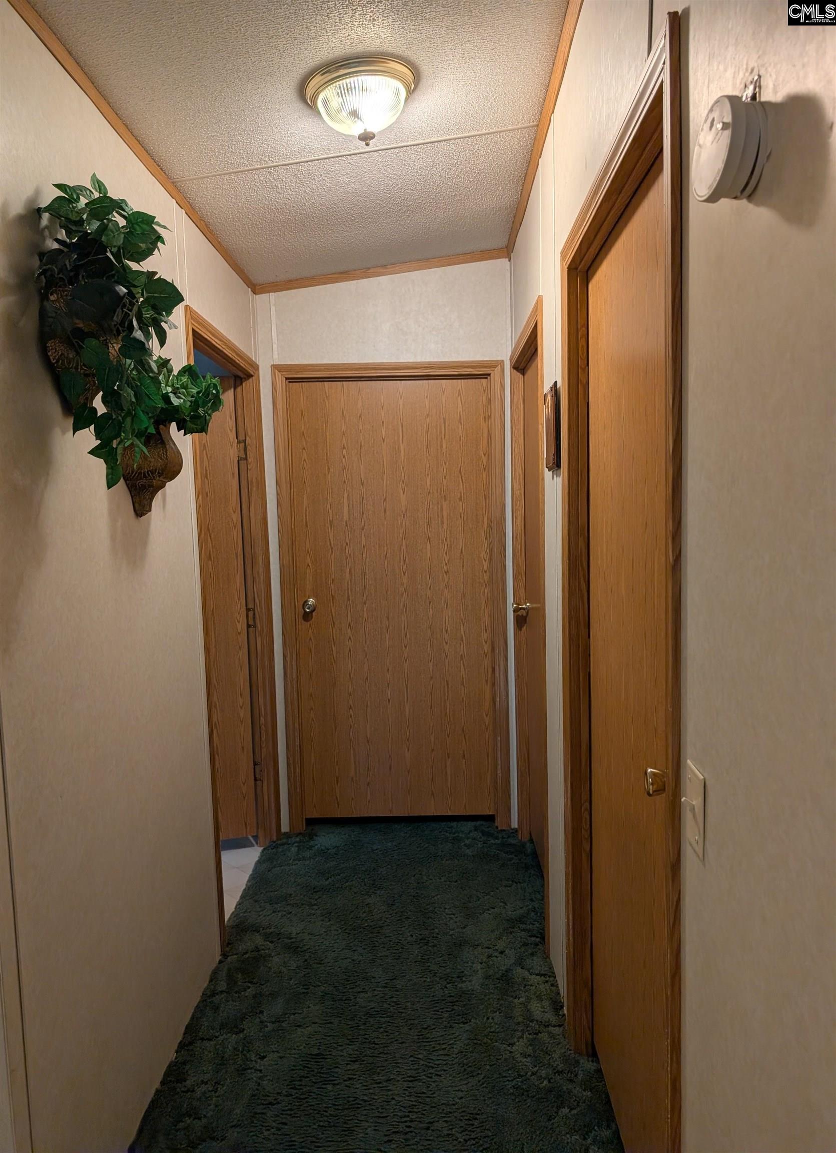 113 Hass Lucas Road Gaston, SC 29053