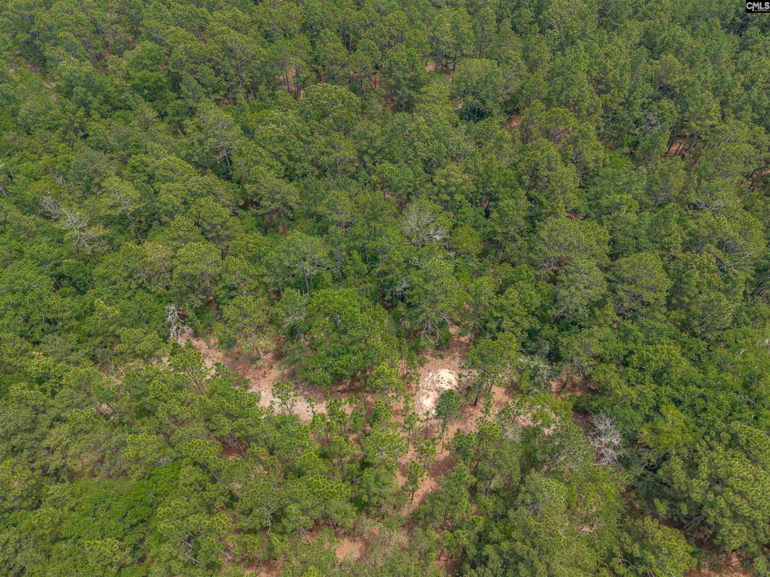 Woodtrail Drive Gaston, SC 29053