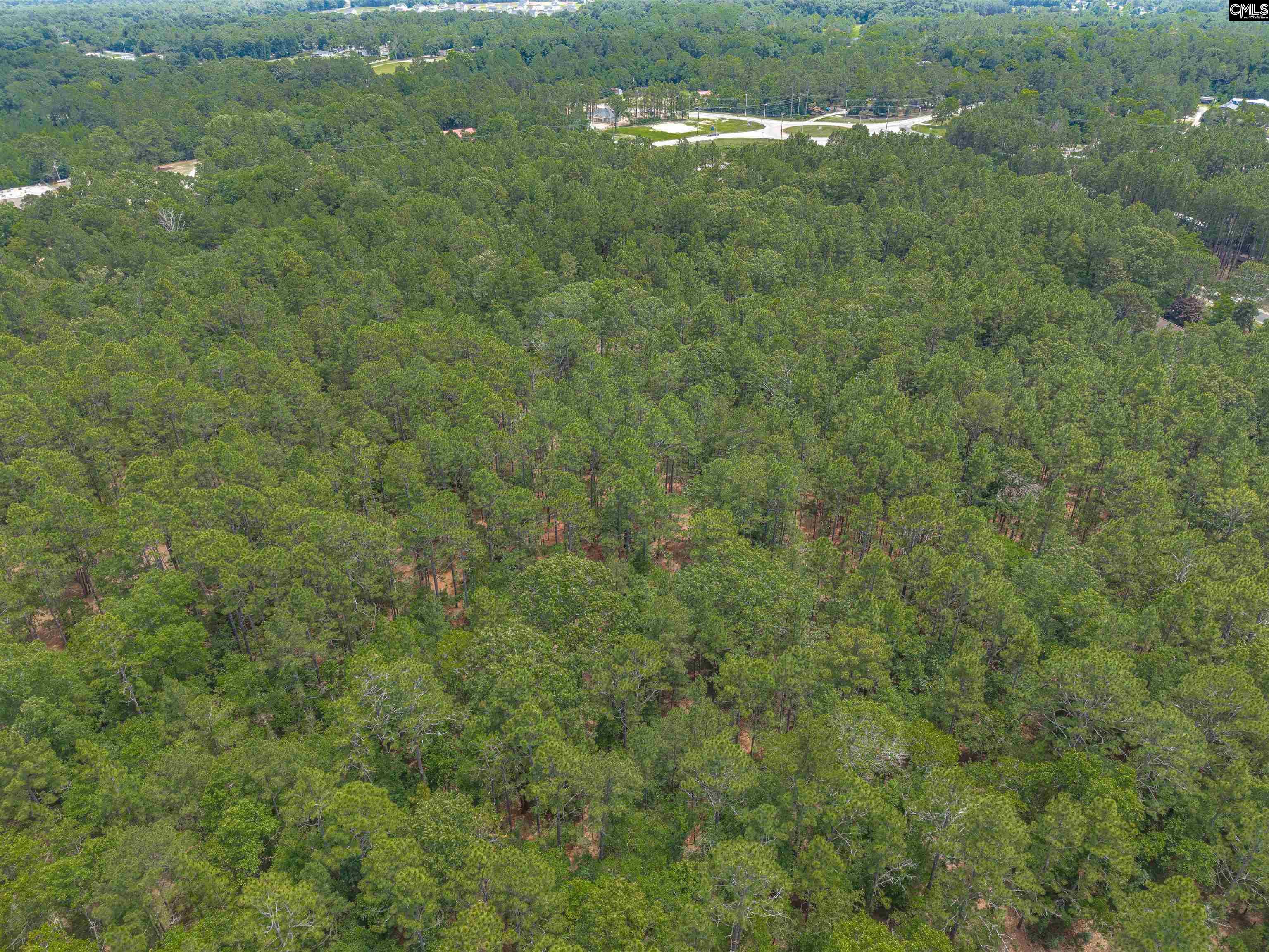 Woodtrail Drive Gaston, SC 29053