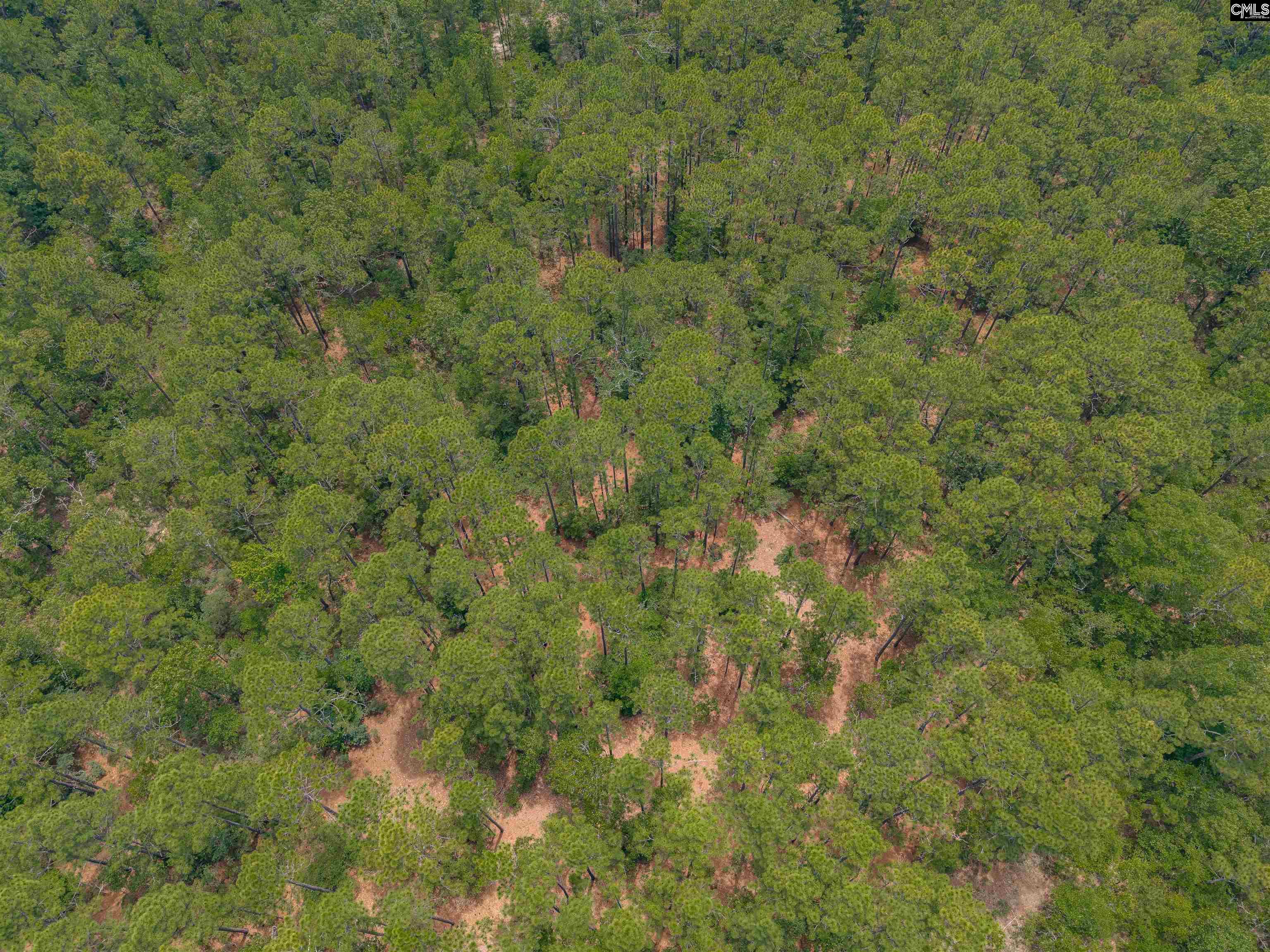 Woodtrail Drive Gaston, SC 29053