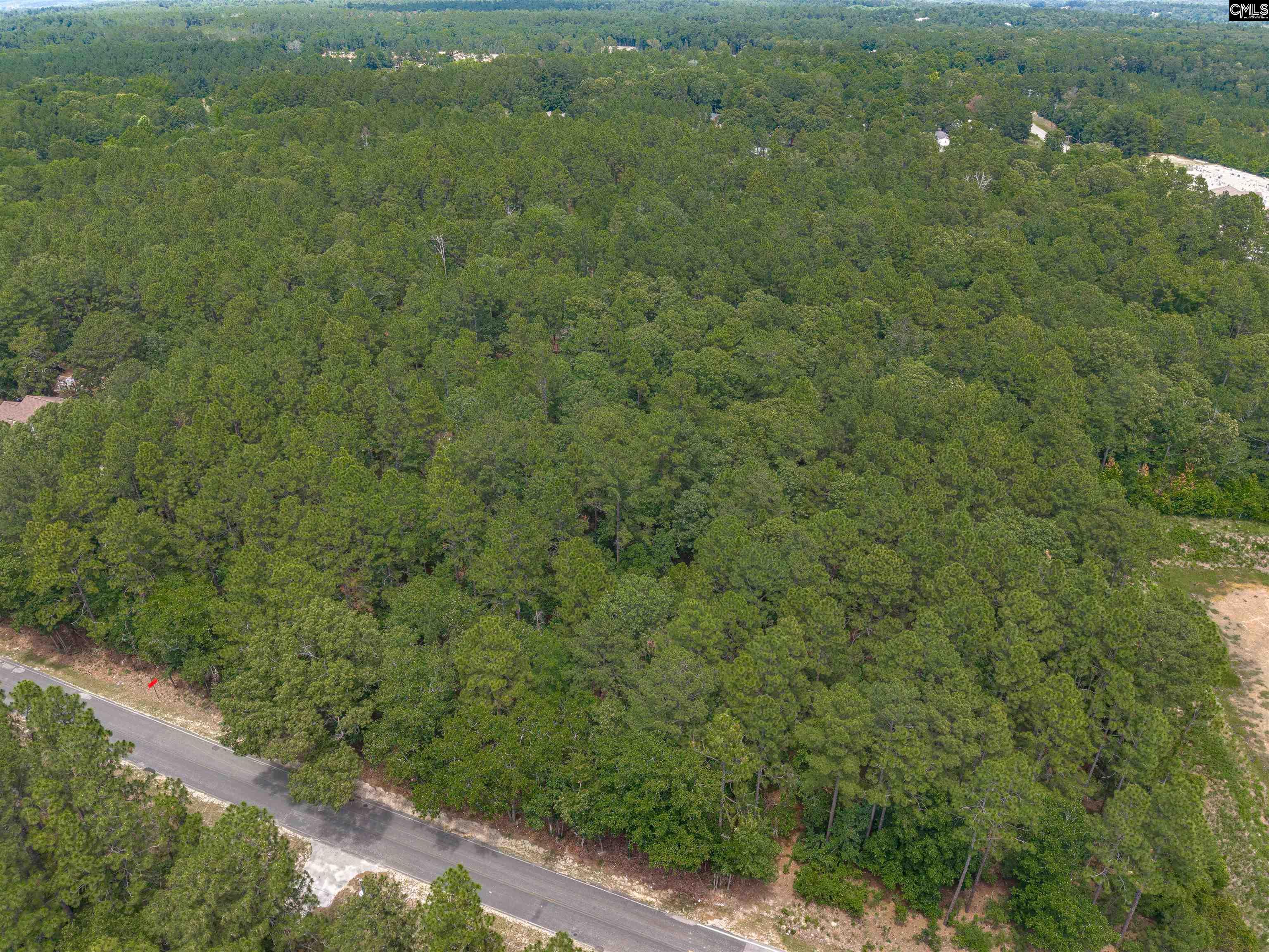 Woodtrail Drive Gaston, SC 29053
