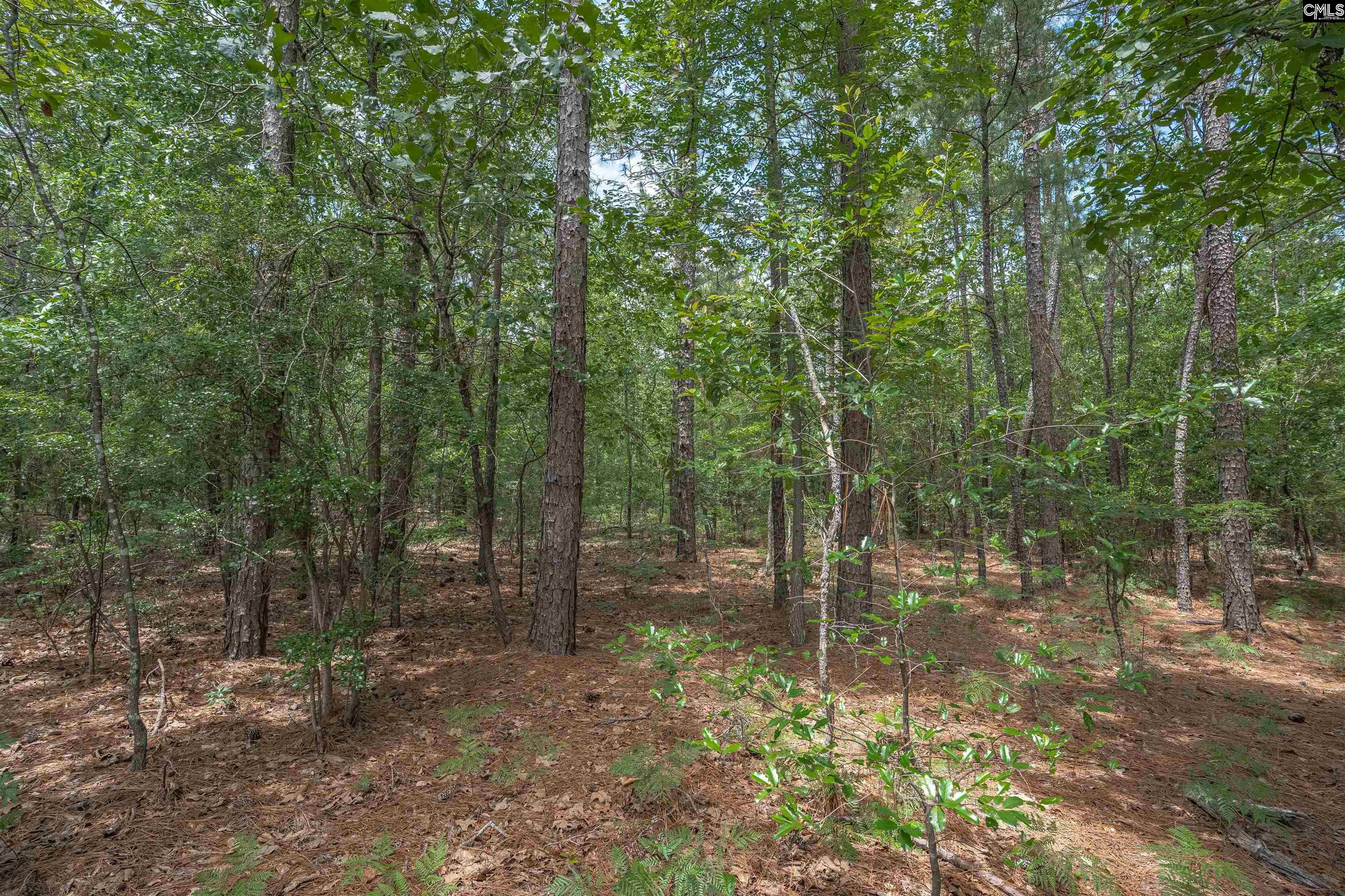 Woodtrail Drive Gaston, SC 29053