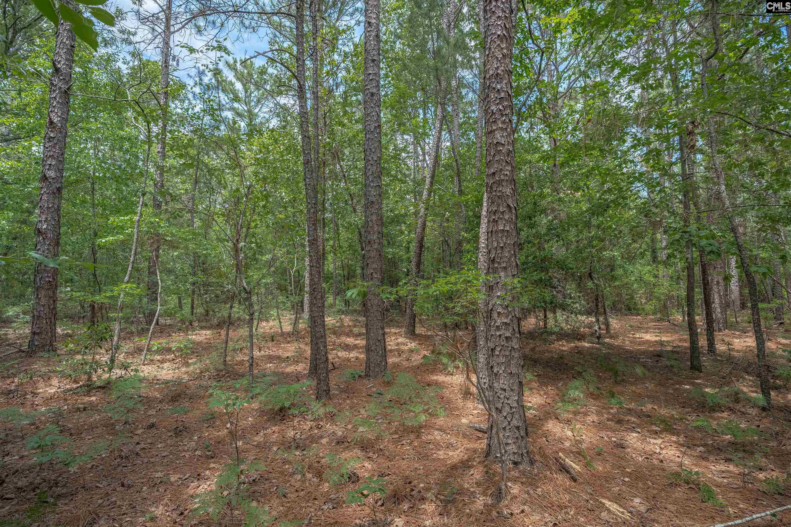 Woodtrail Drive Gaston, SC 29053