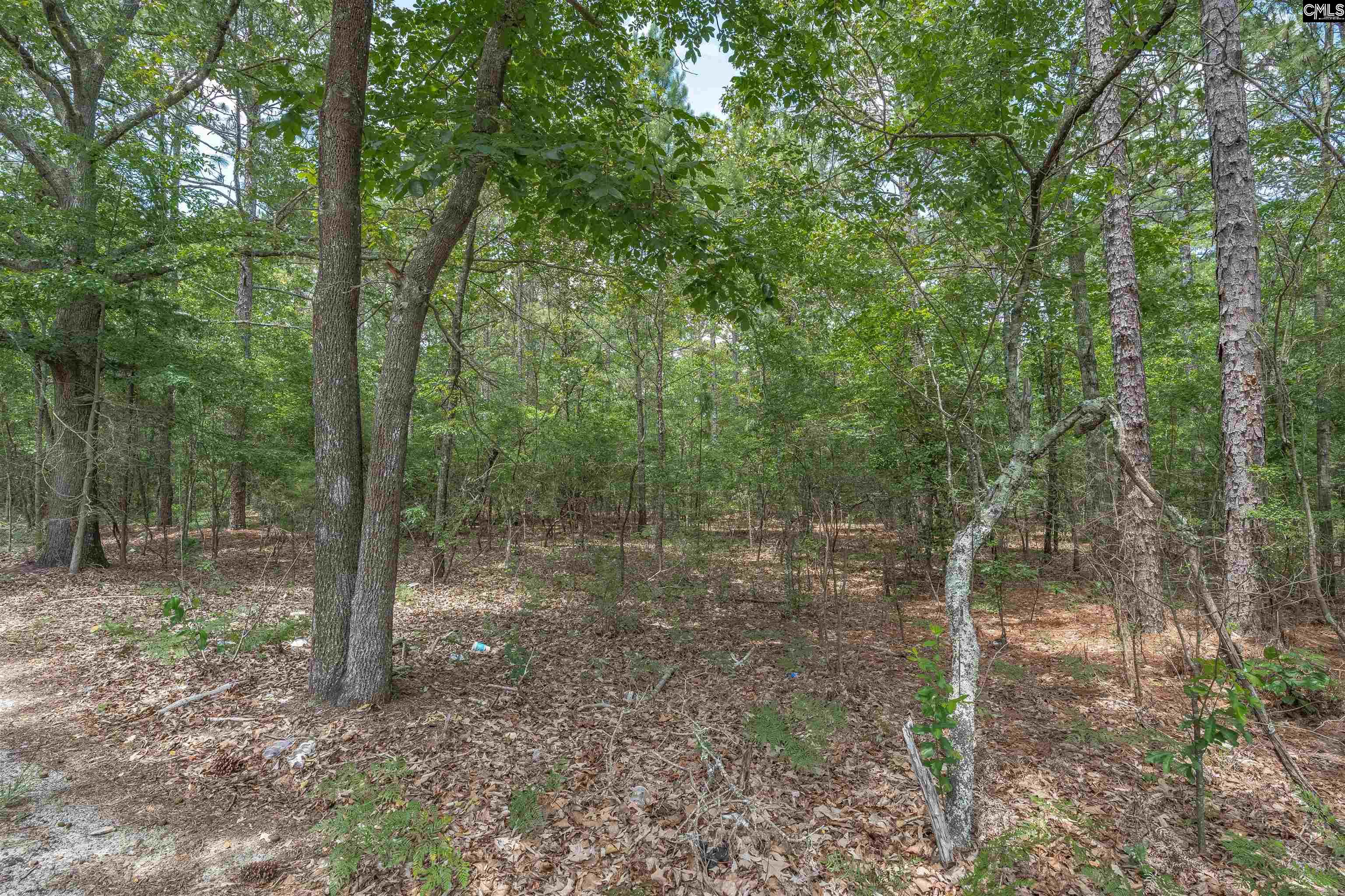Woodtrail Drive Gaston, SC 29053