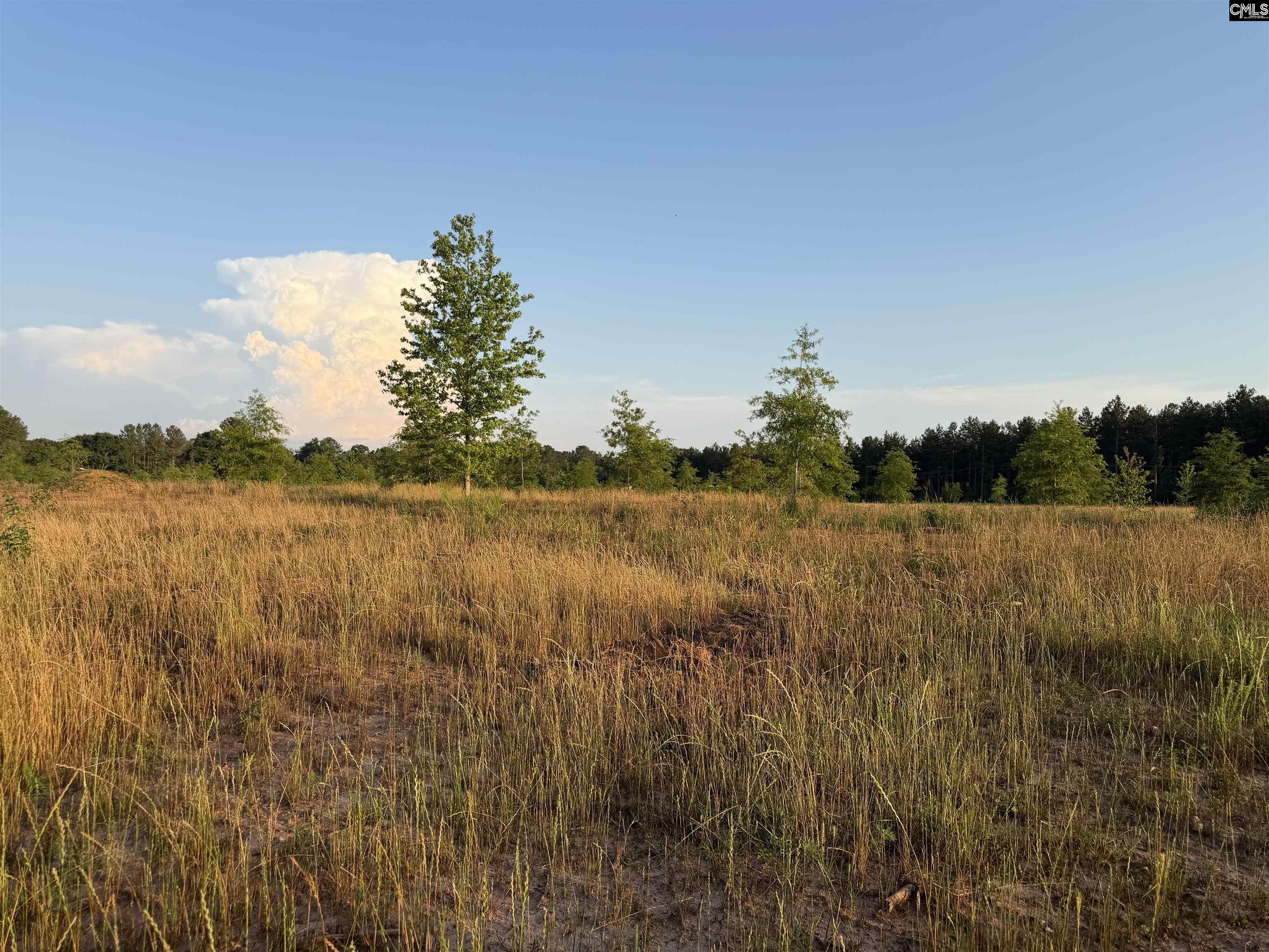 000 Livingston Road Pomaria, SC 29126