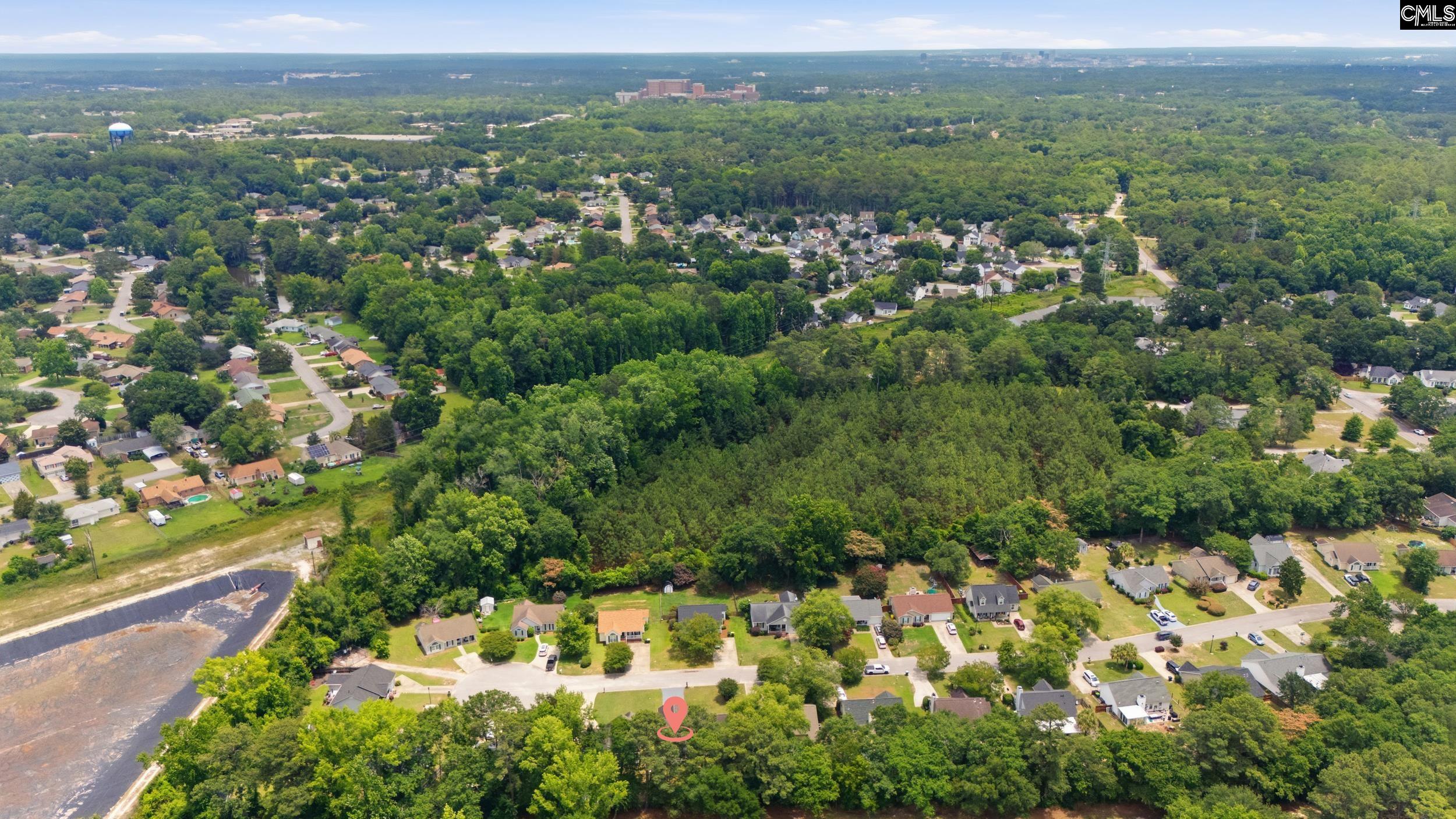 145 Pear Court Lexington, SC 29073