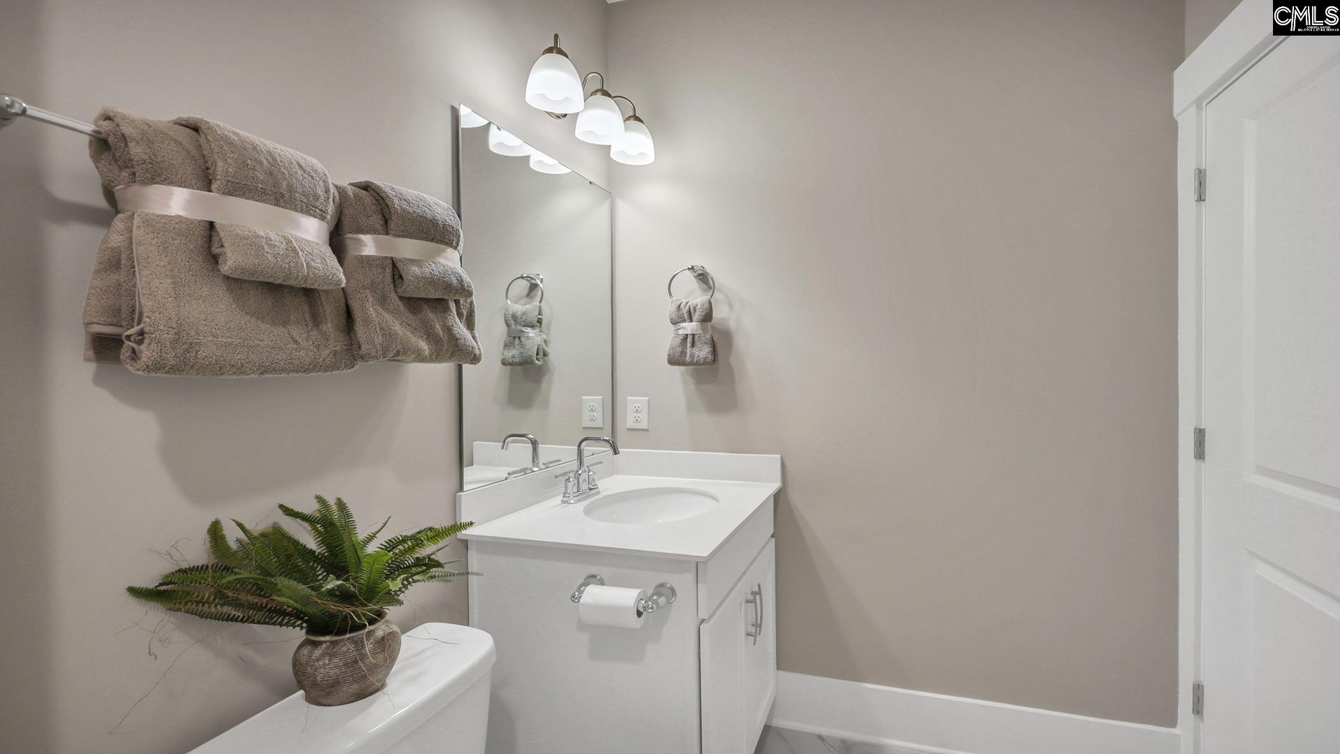 137 Sunny Stream Drive Chapin, SC 29054