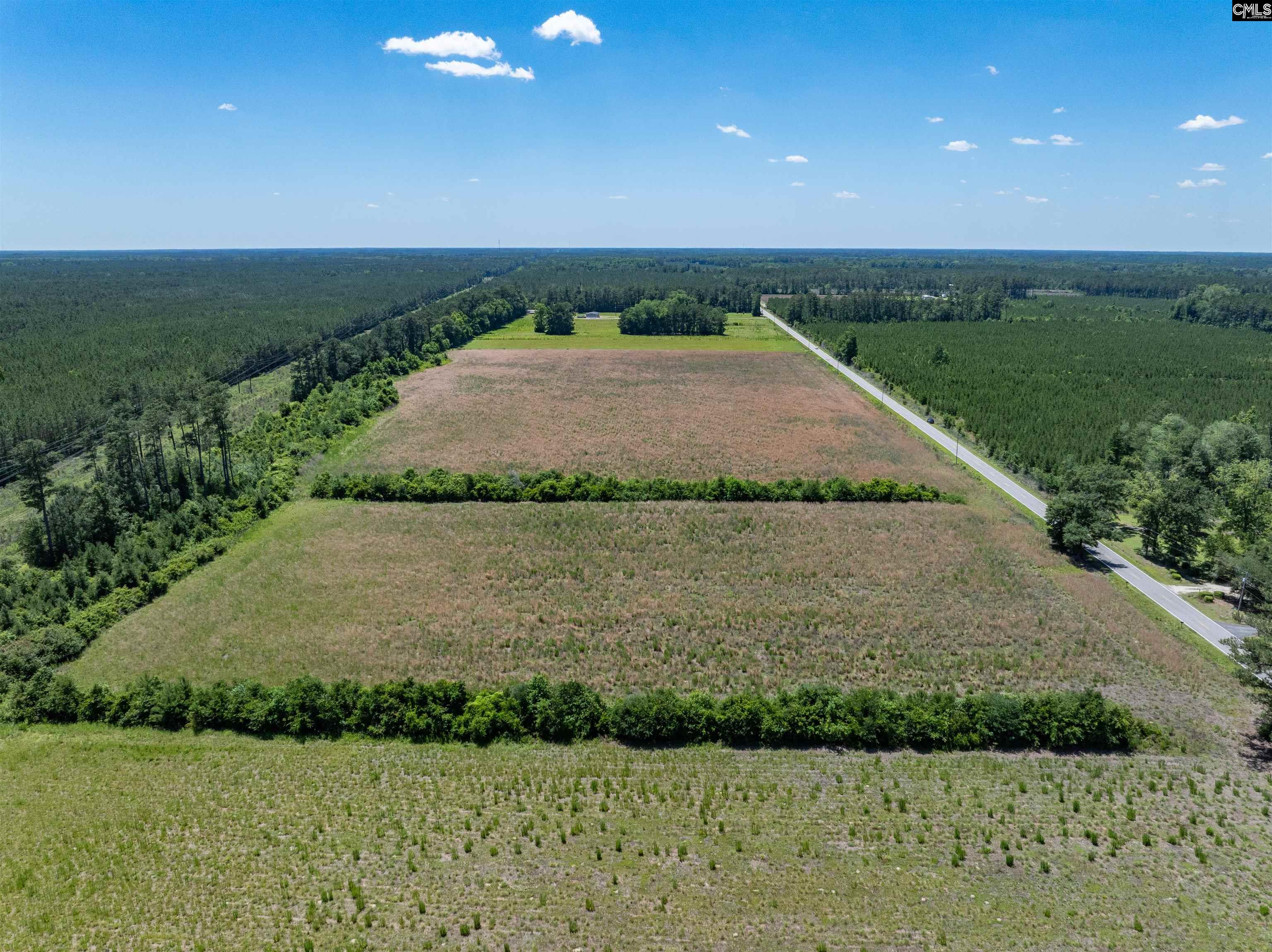 0000 Williams Hill Road UNIT #1 Hemingway, SC 29954