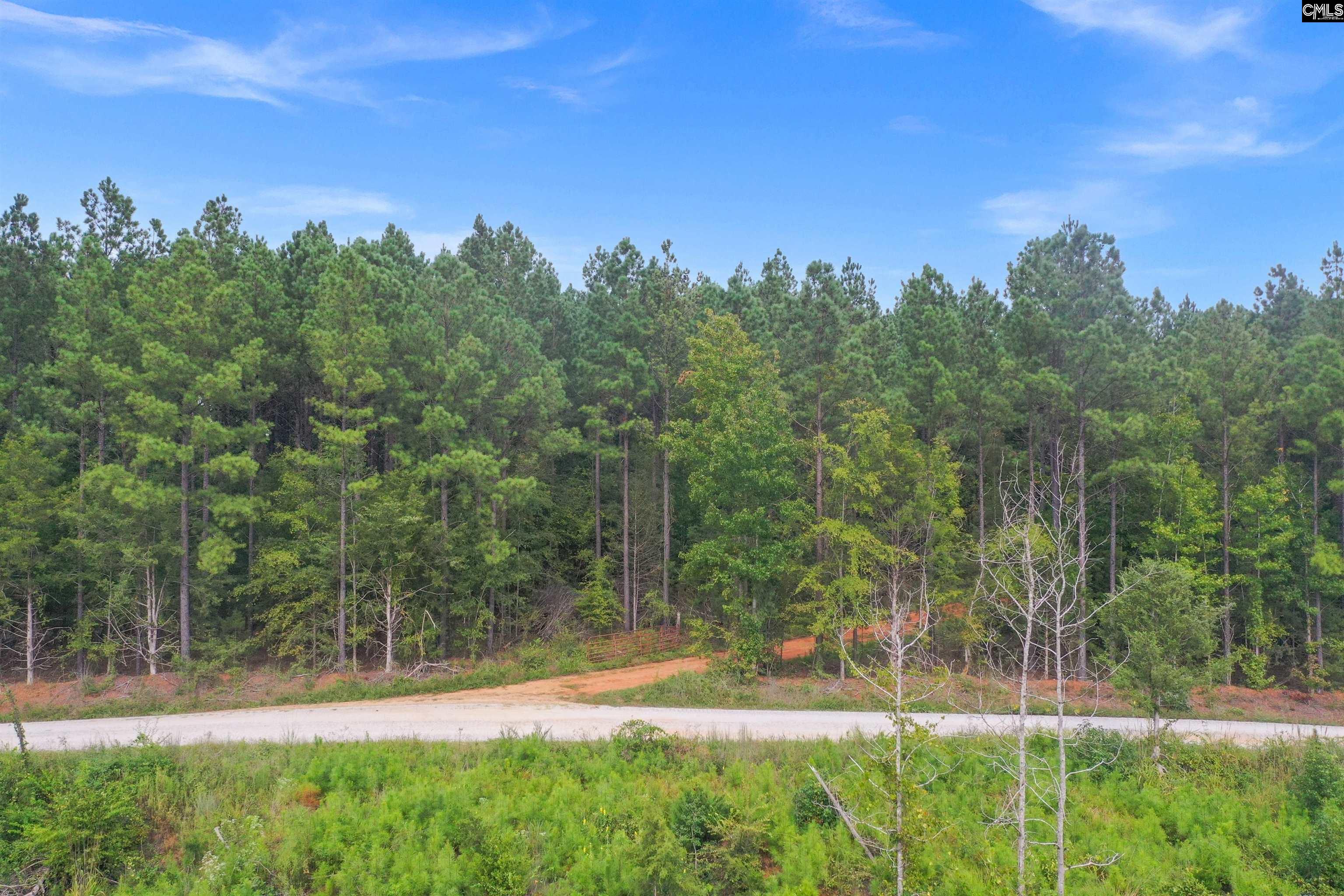 0000 Penner Rd UNIT #10 Jenkinsville, SC 29065