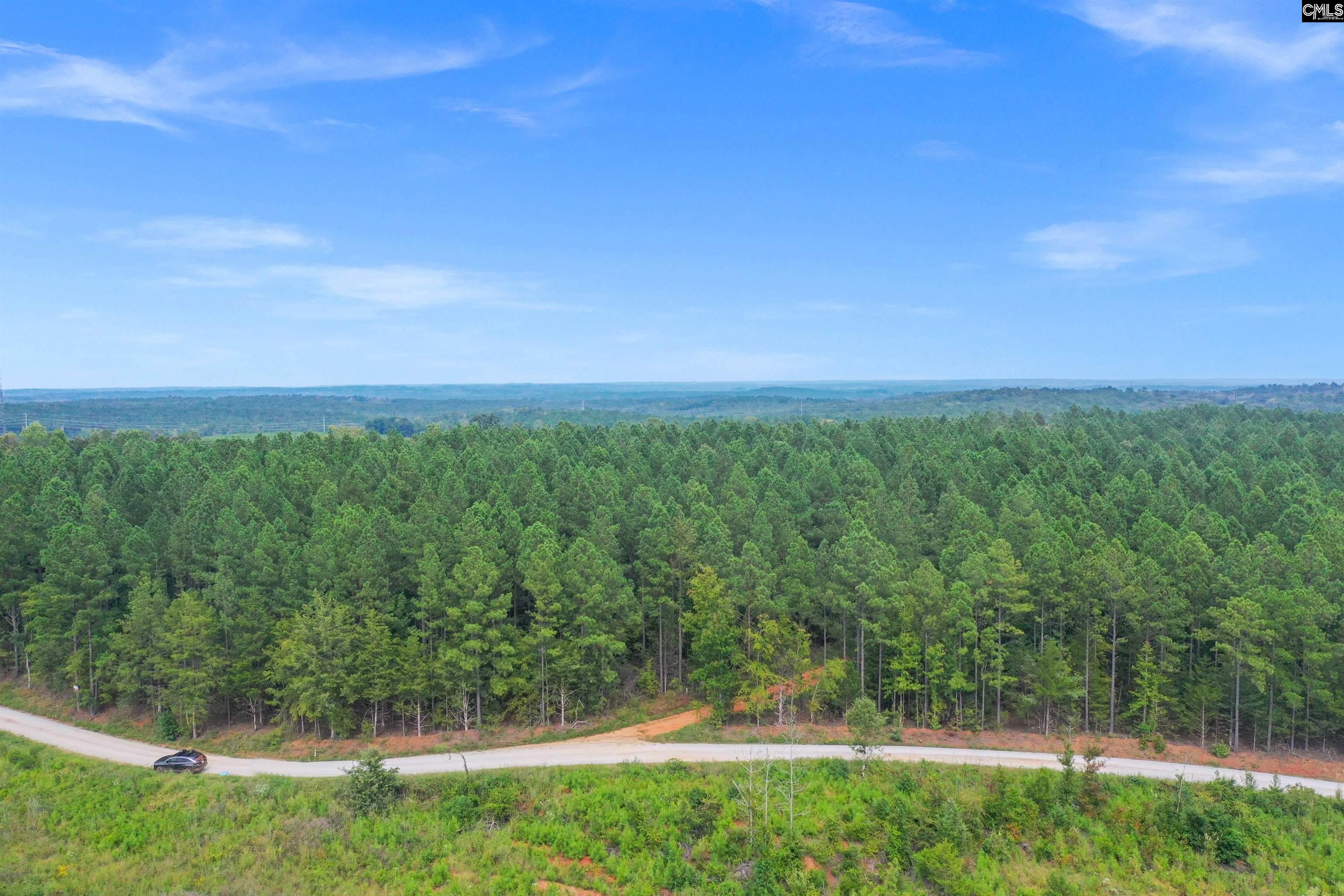 0000 Penner Rd UNIT #10 Jenkinsville, SC 29065