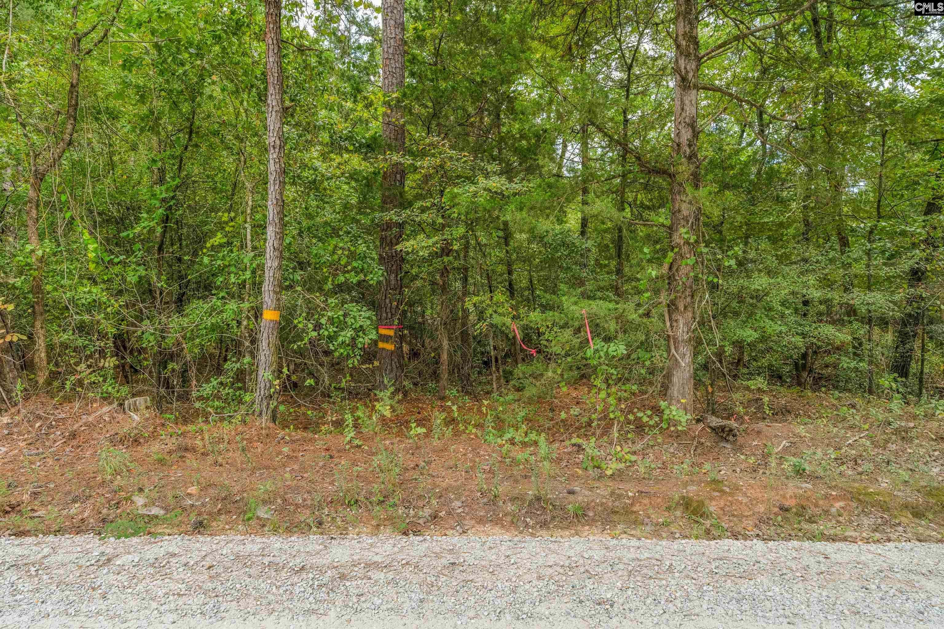0000 Penner Rd UNIT #10 Jenkinsville, SC 29065
