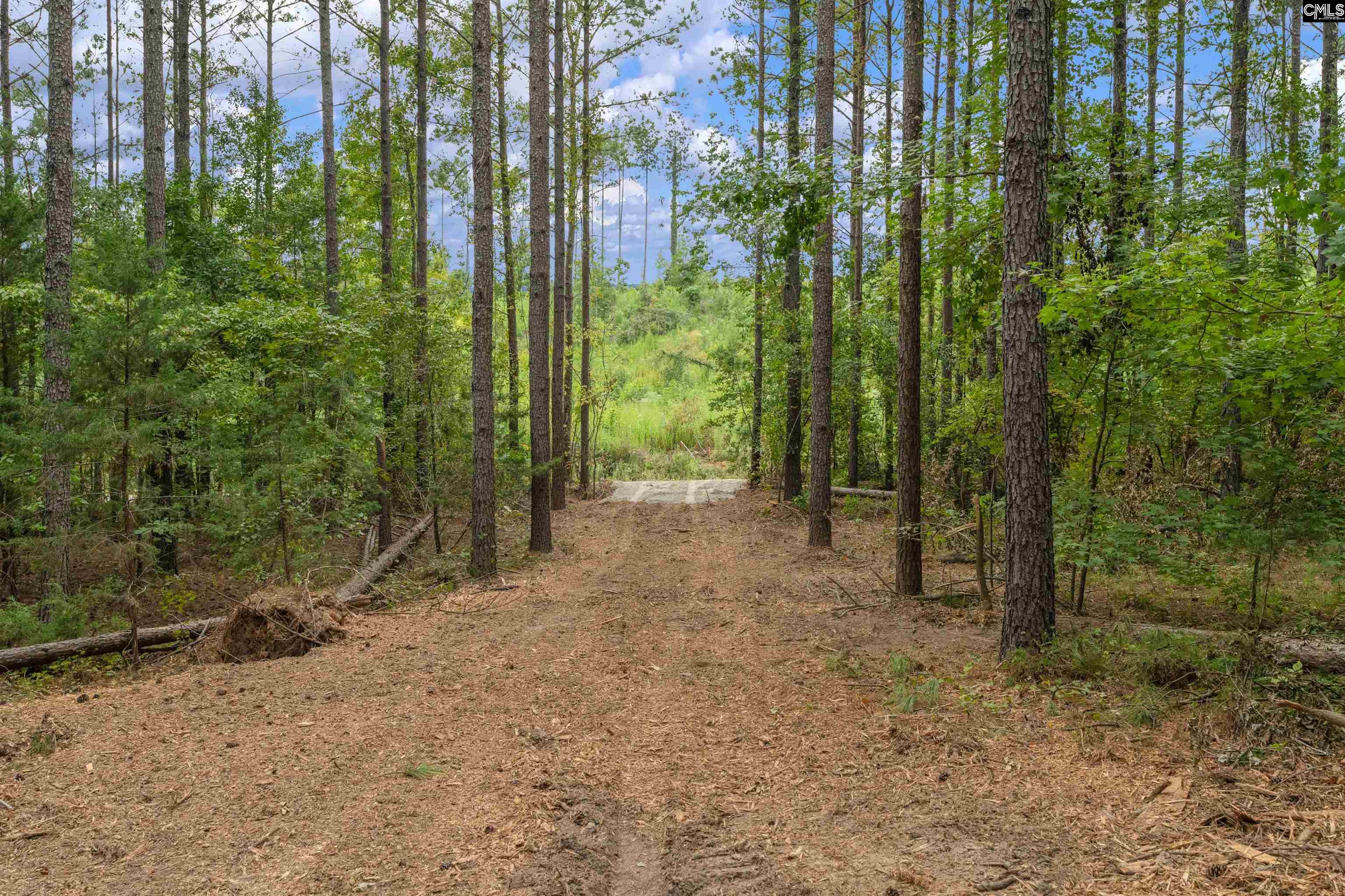 0000 Penner Rd UNIT #10 Jenkinsville, SC 29065