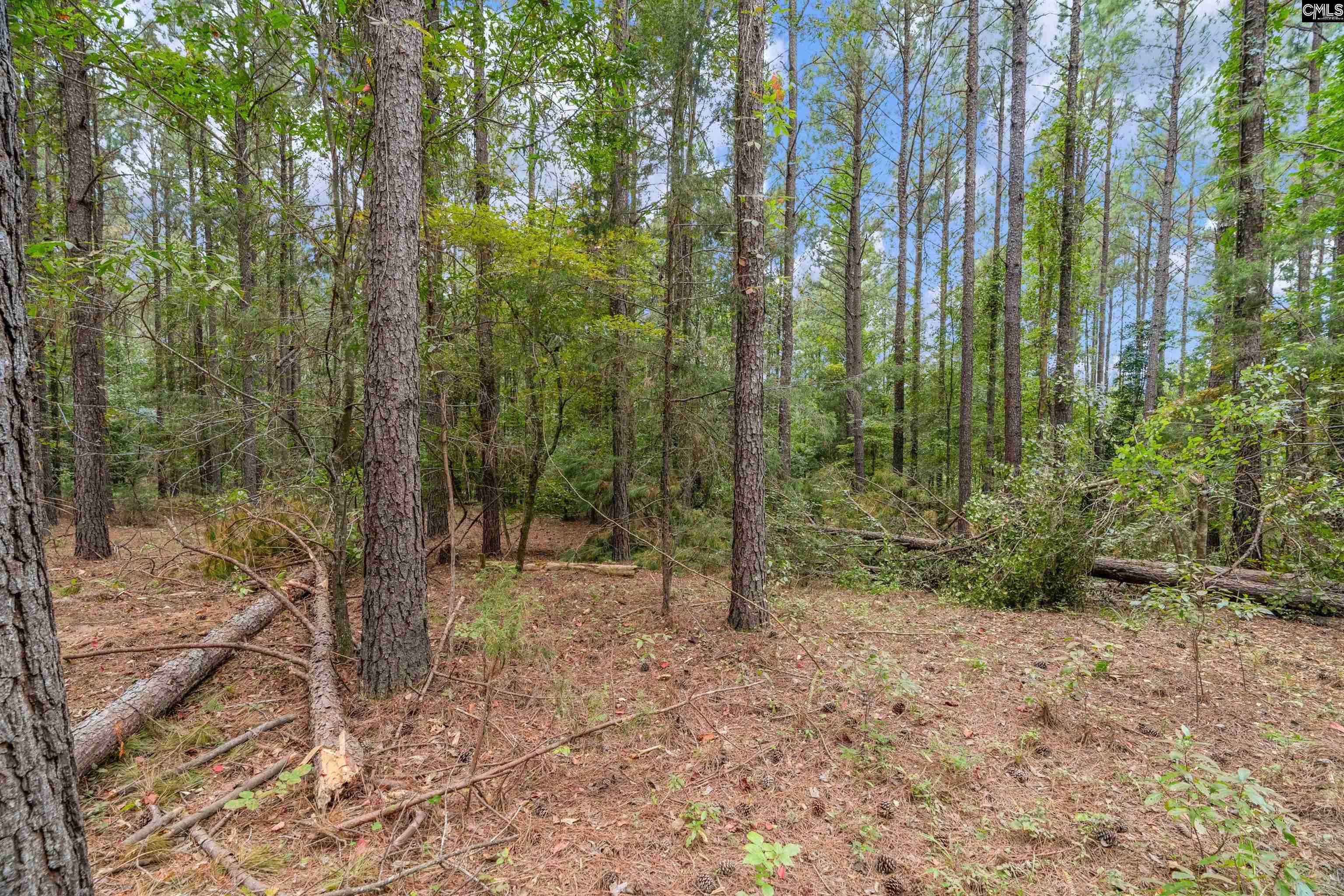 0000 Penner Rd UNIT #10 Jenkinsville, SC 29065
