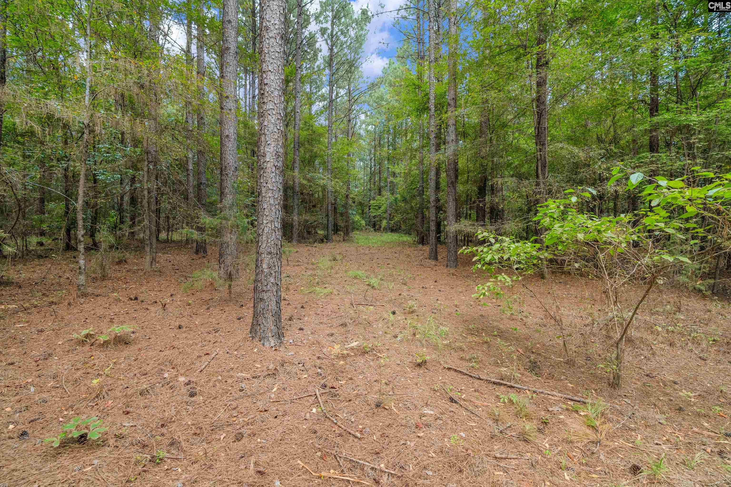 0000 Penner Rd UNIT #10 Jenkinsville, SC 29065
