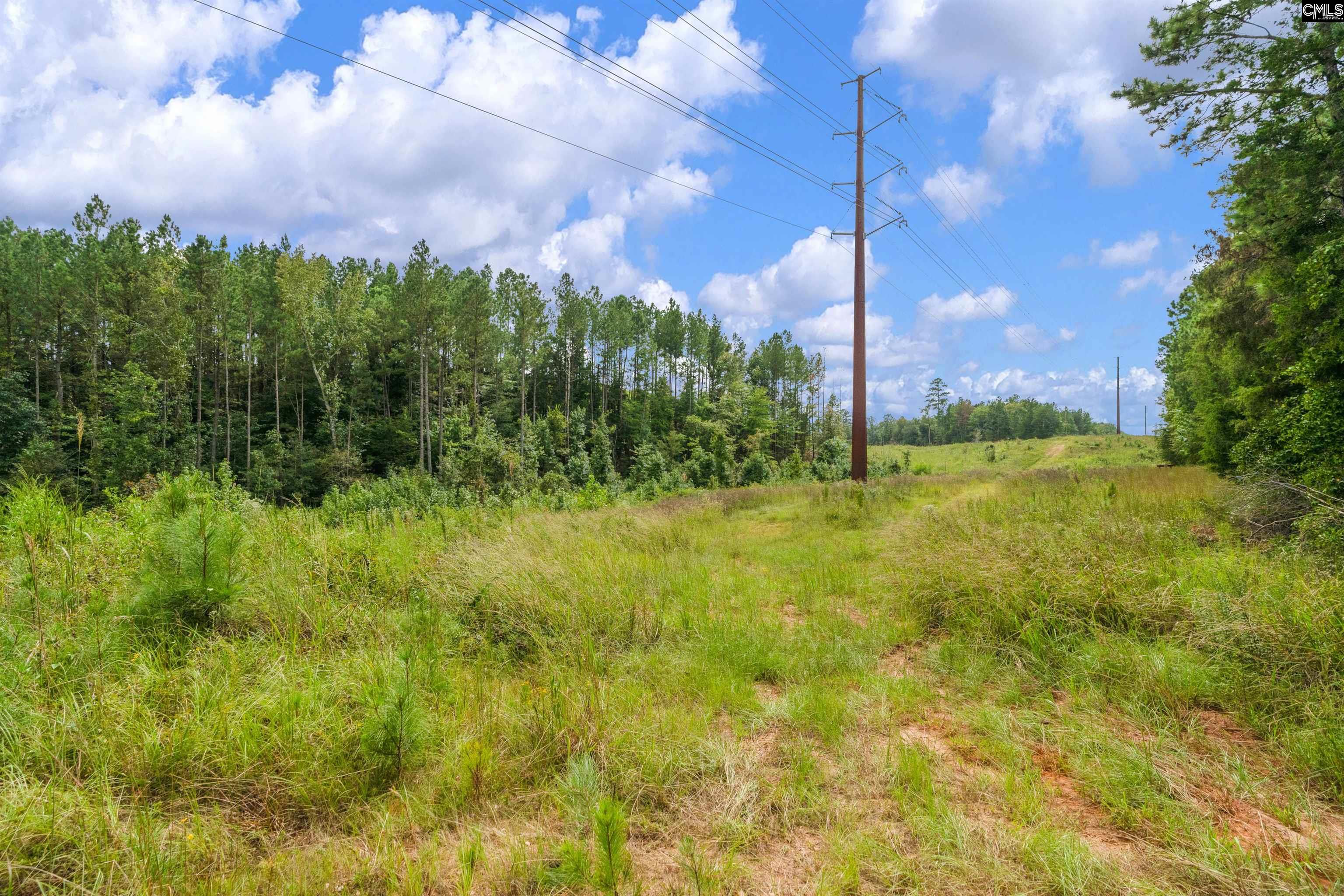 0000 Penner Rd UNIT #10 Jenkinsville, SC 29065