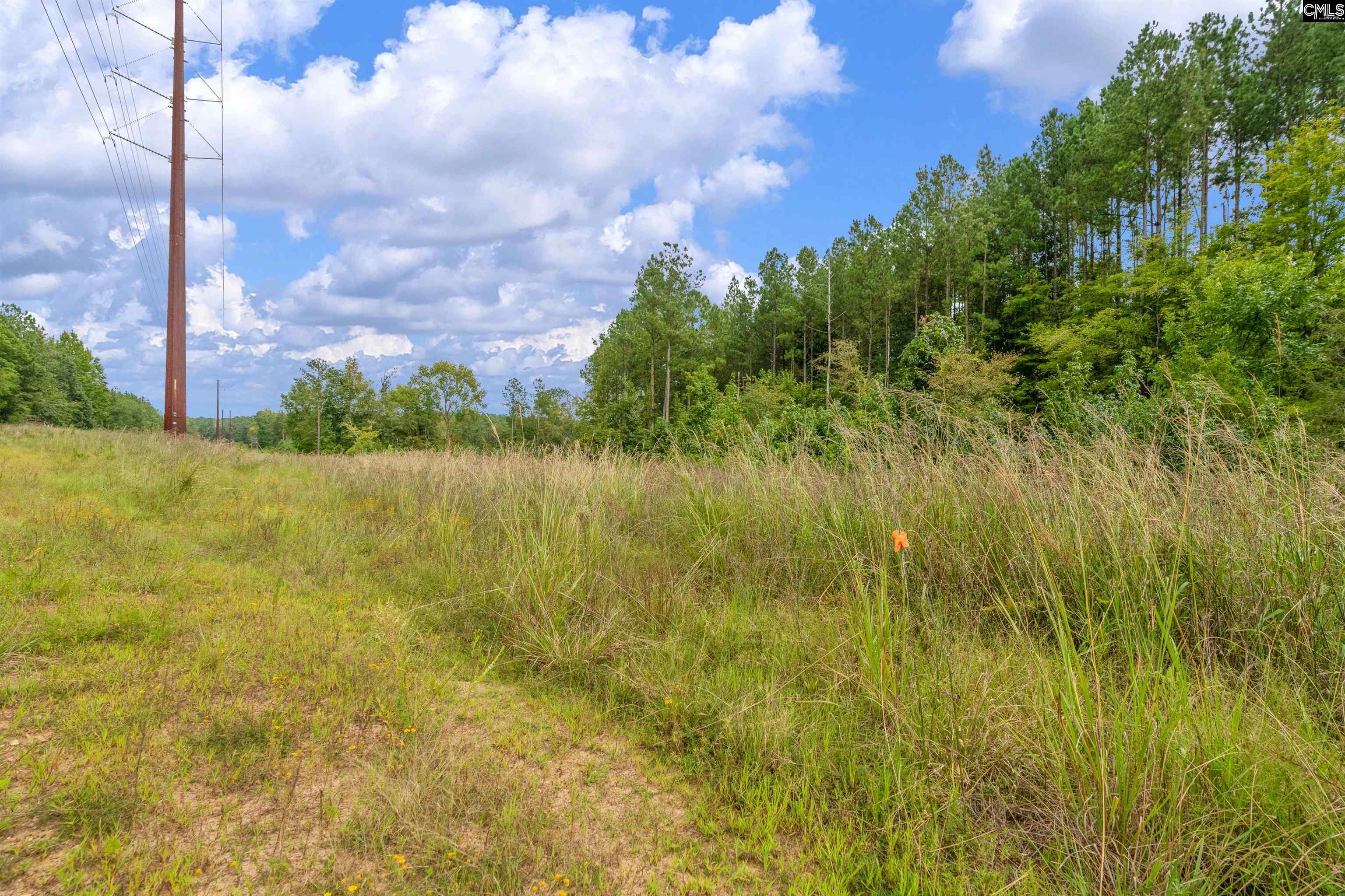 0000 Penner Rd UNIT #10 Jenkinsville, SC 29065