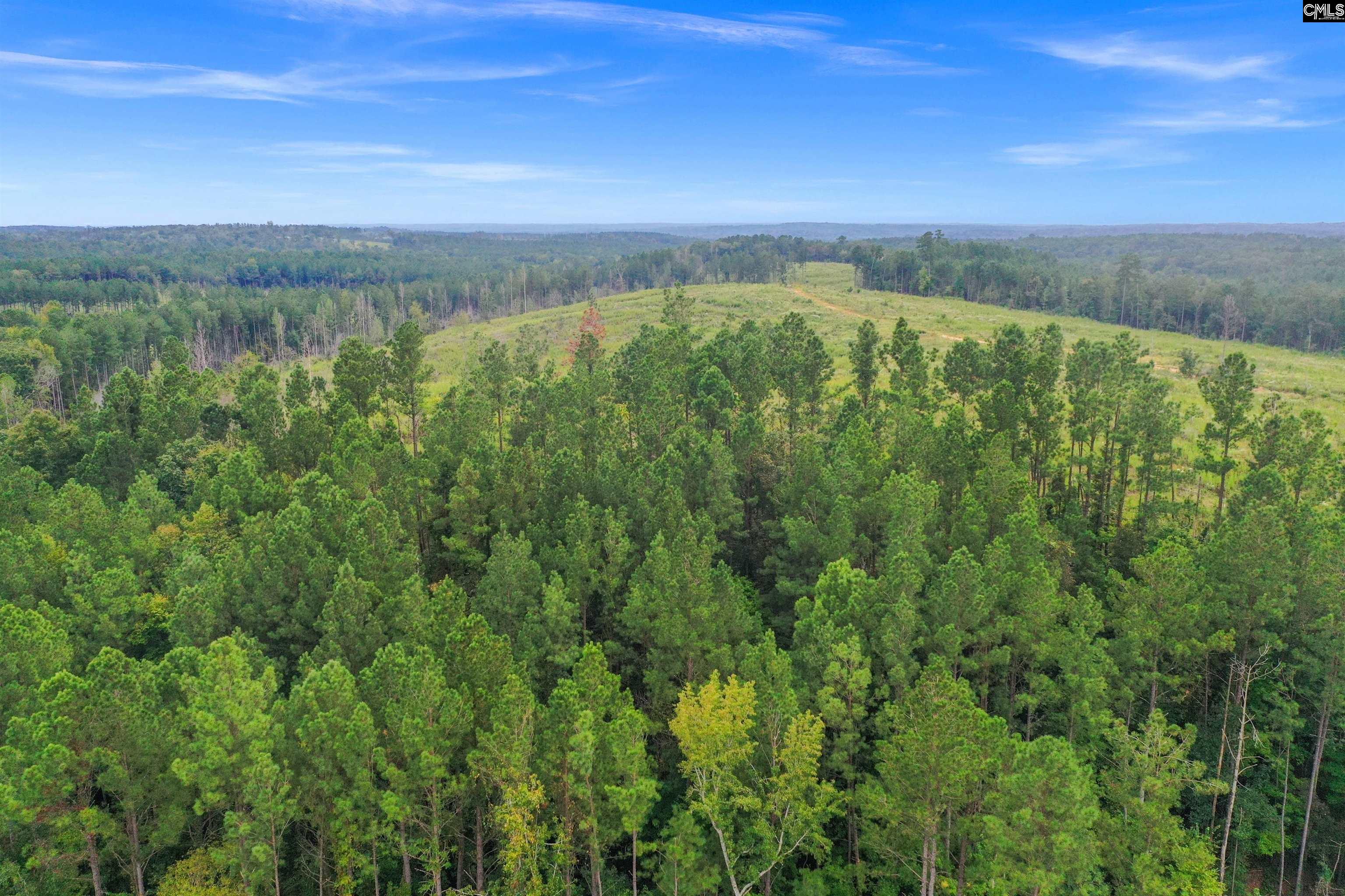 0000 Penner Rd UNIT #10 Jenkinsville, SC 29065