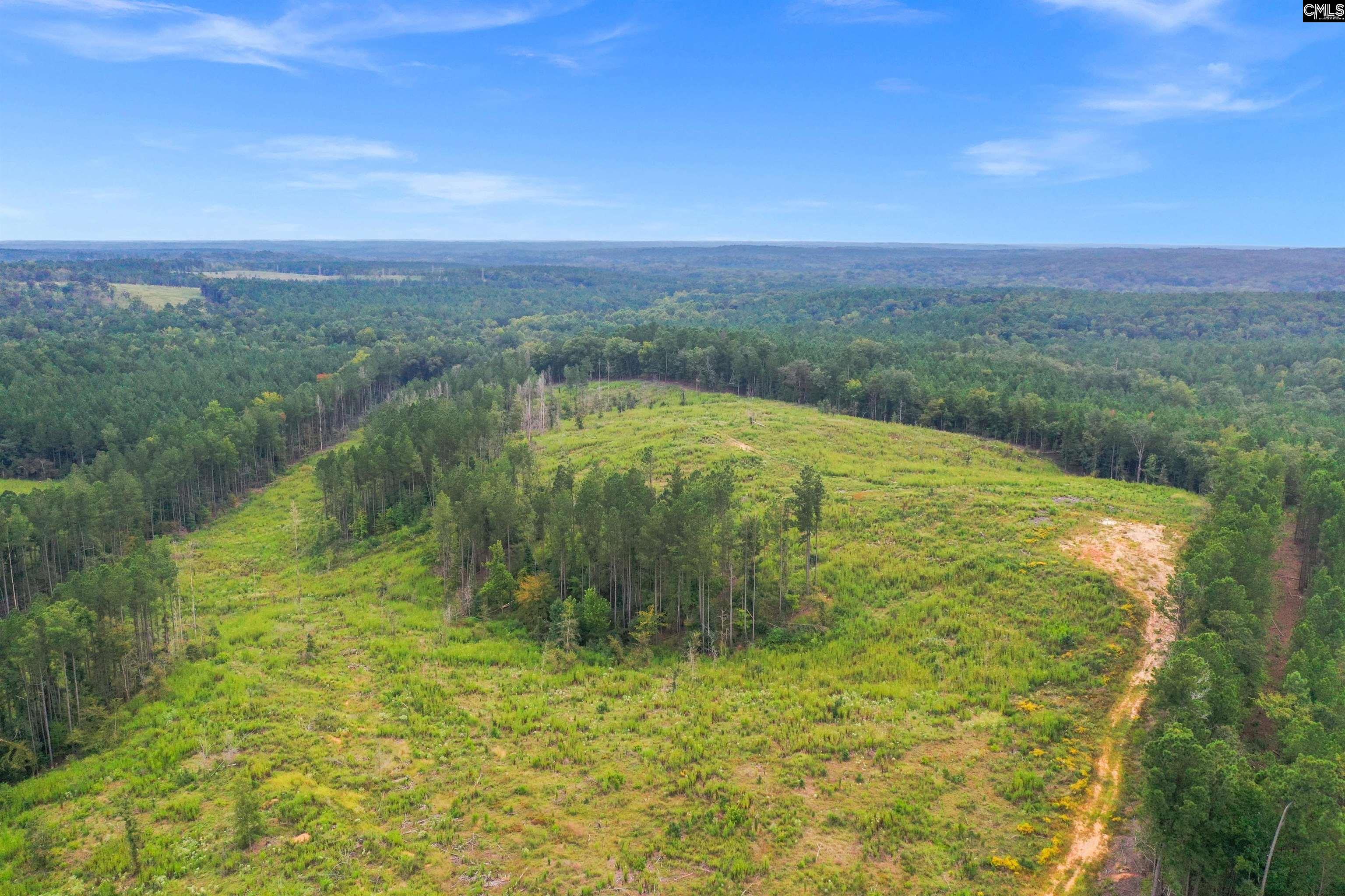 0000 Penner Rd UNIT #10 Jenkinsville, SC 29065