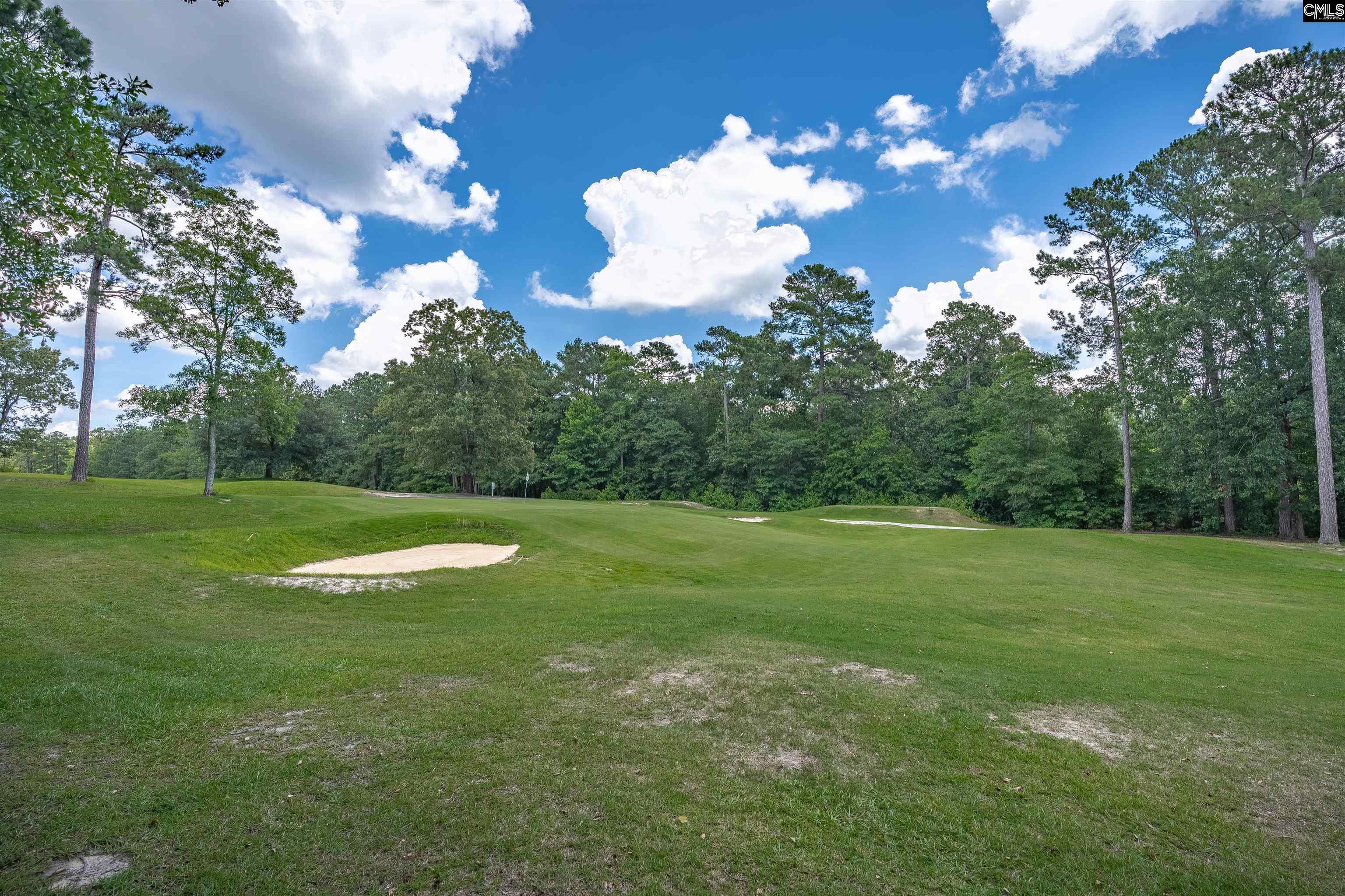 7 Tavern Court Blythewood, SC 29016