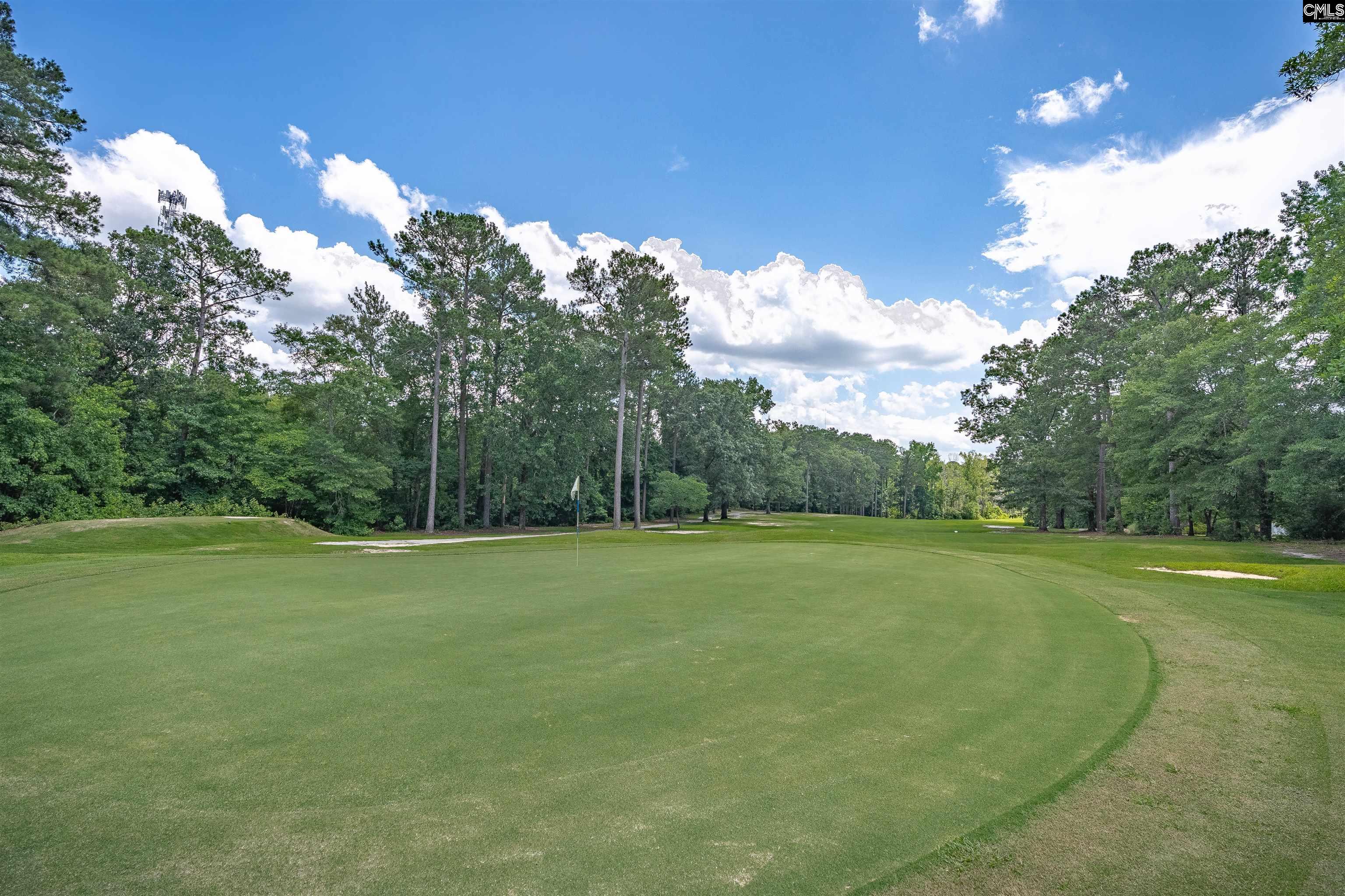 7 Tavern Court Blythewood, SC 29016