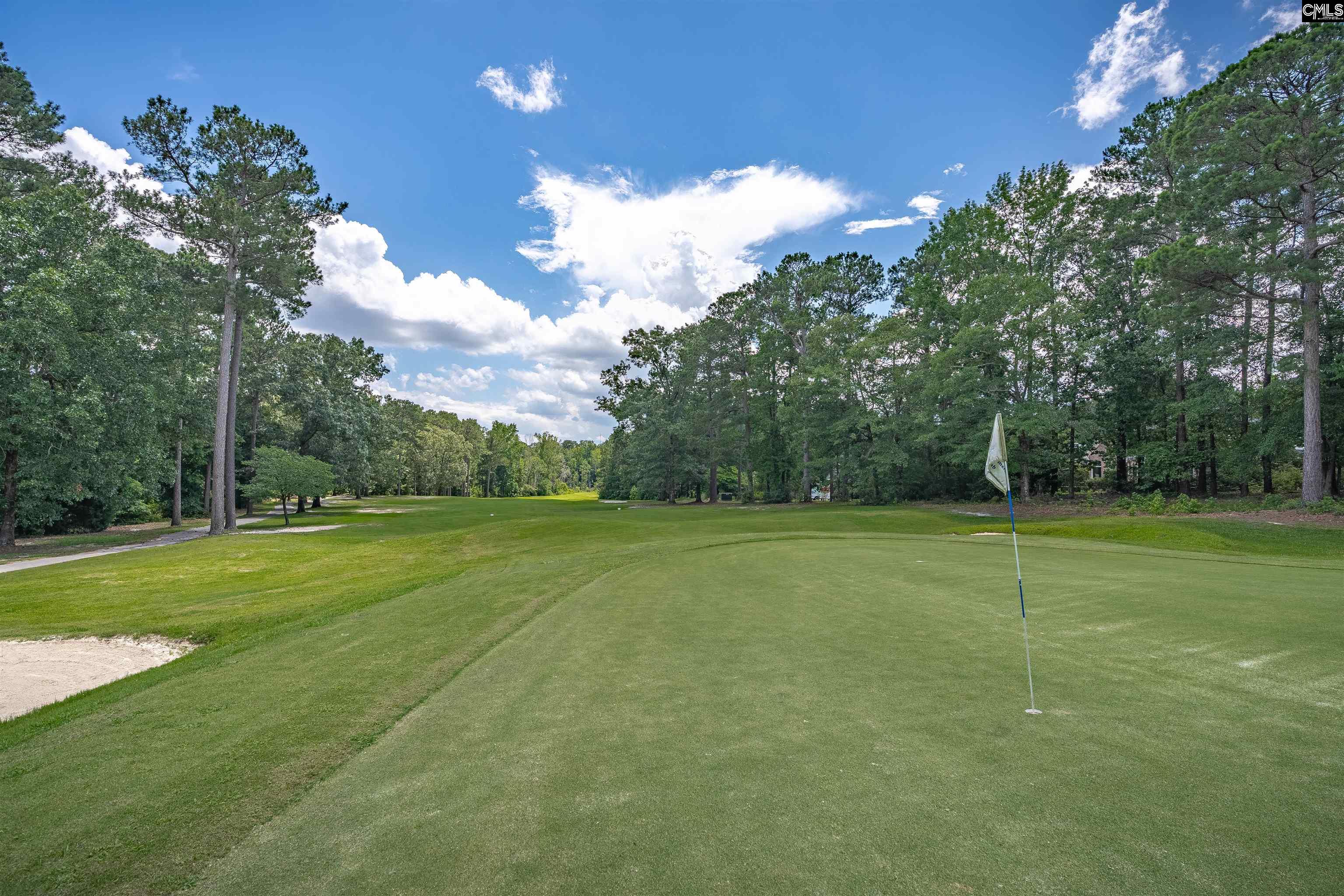 7 Tavern Court Blythewood, SC 29016