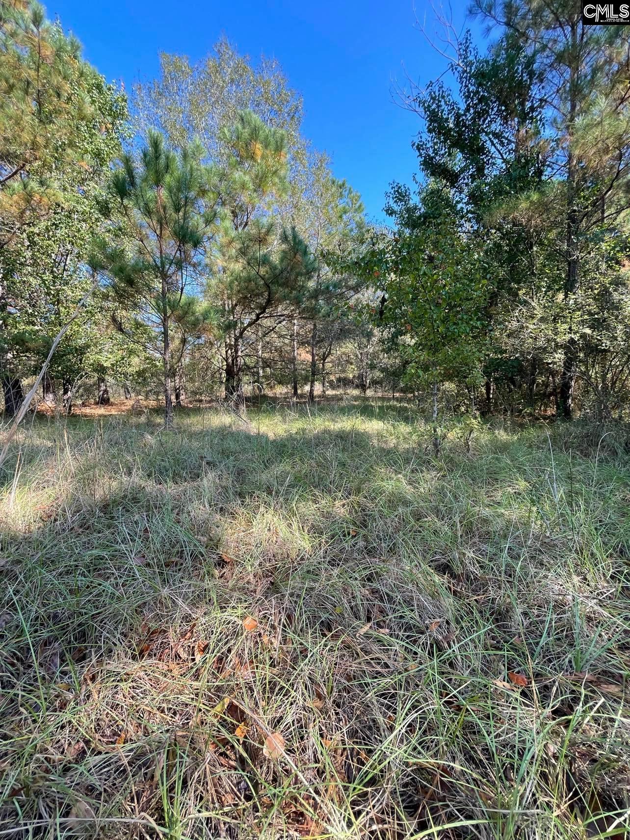 110 Willow Creek Boulevard Lugoff, SC 29078