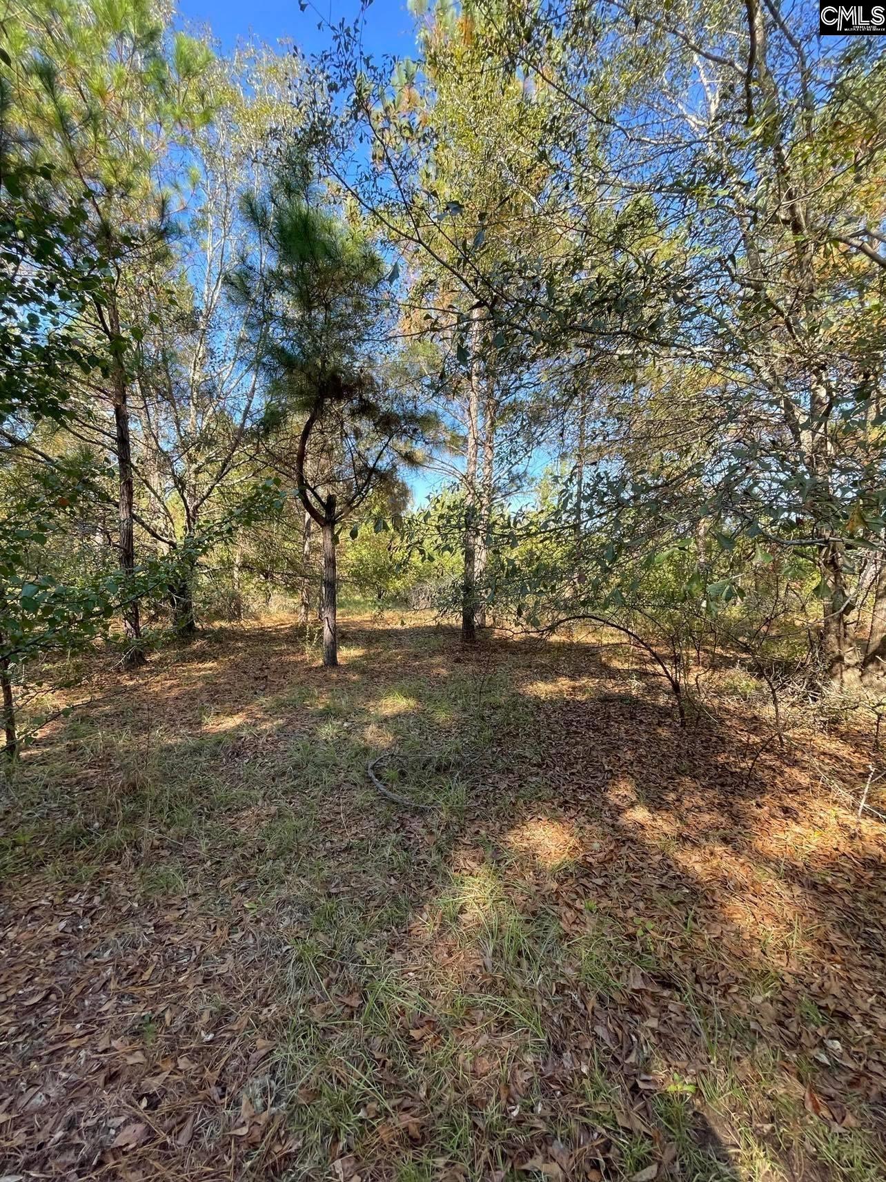 110 Willow Creek Boulevard Lugoff, SC 29078