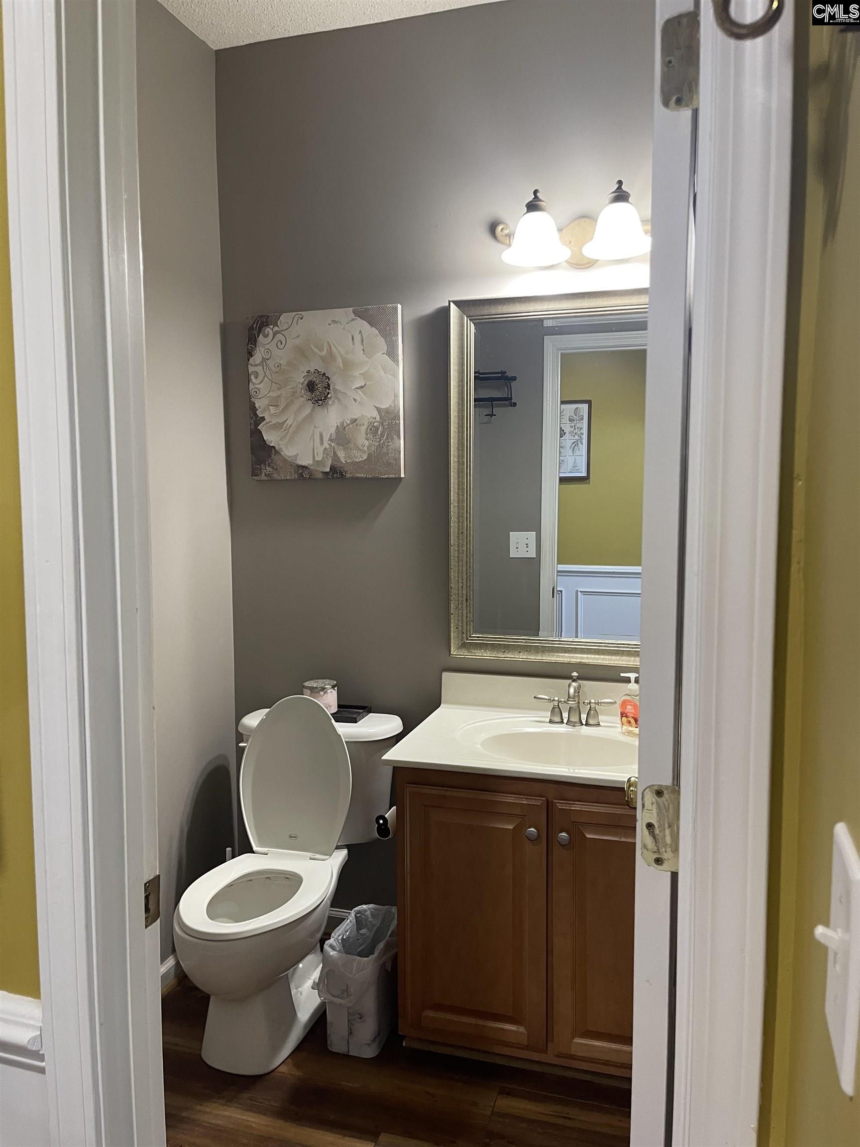 332 Buckthorne Drive Lexington, SC 29072