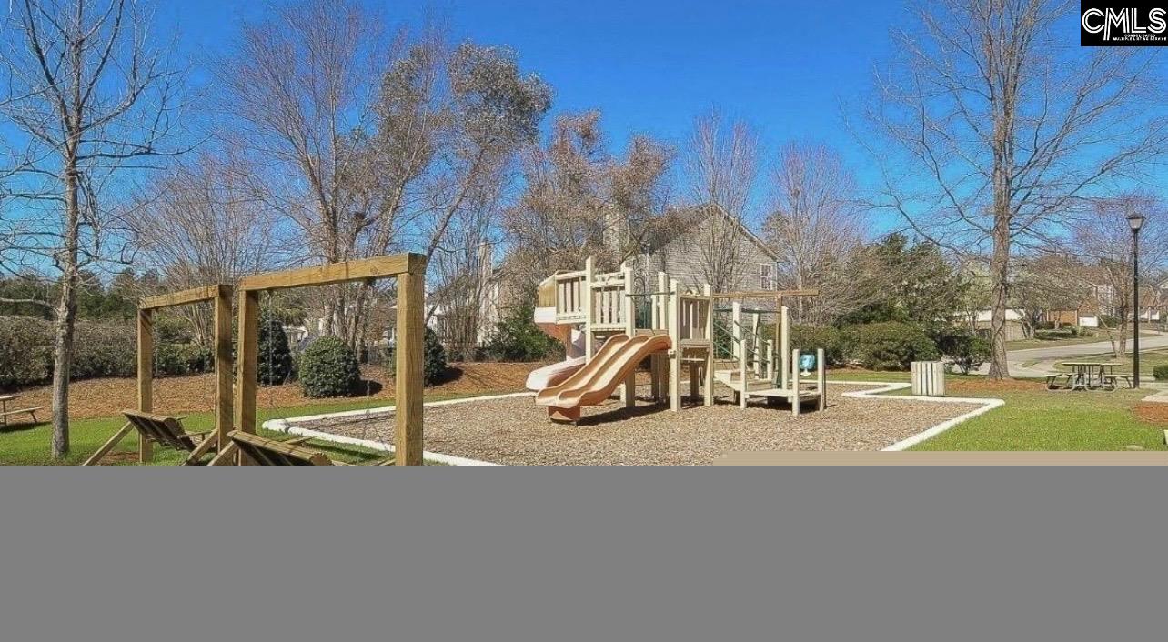332 Buckthorne Drive Lexington, SC 29072