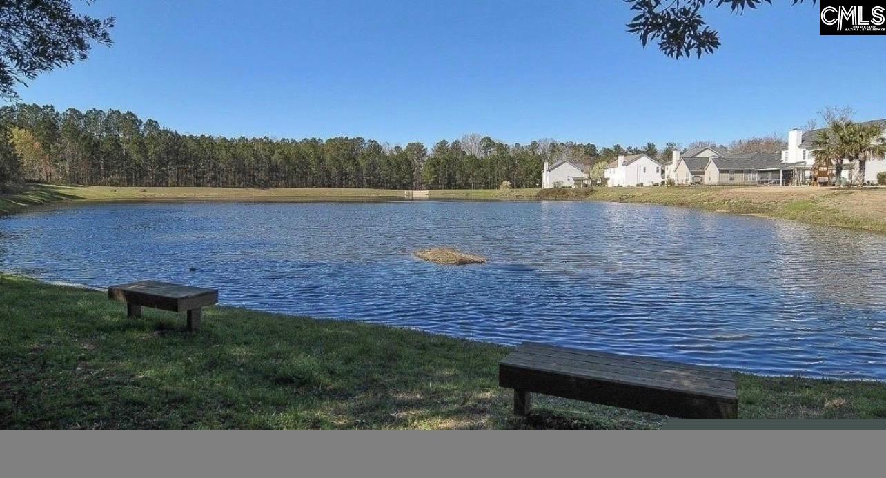 332 Buckthorne Drive Lexington, SC 29072