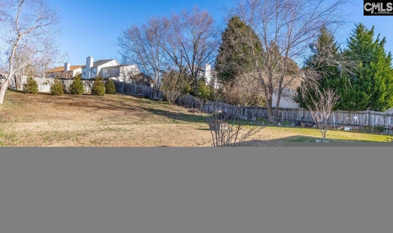 332 Buckthorne Drive Lexington, SC 29072