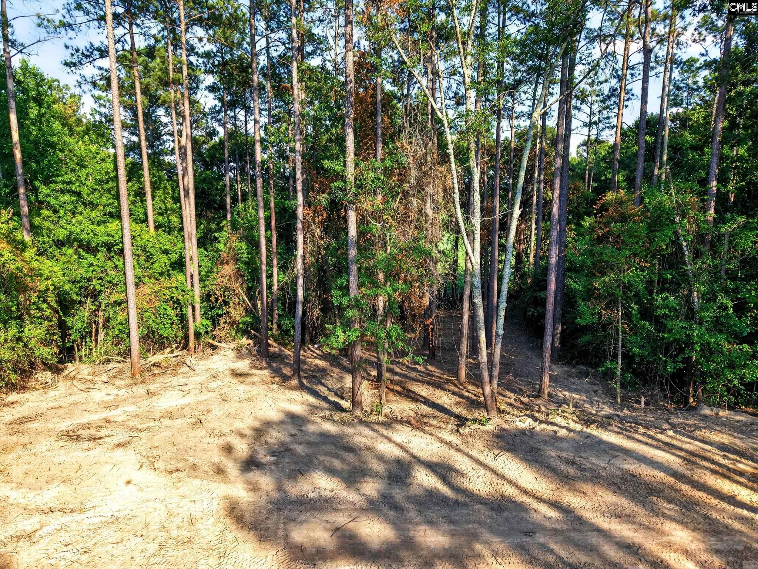1223 Ancrums Ferry Road Lugoff, SC 29078