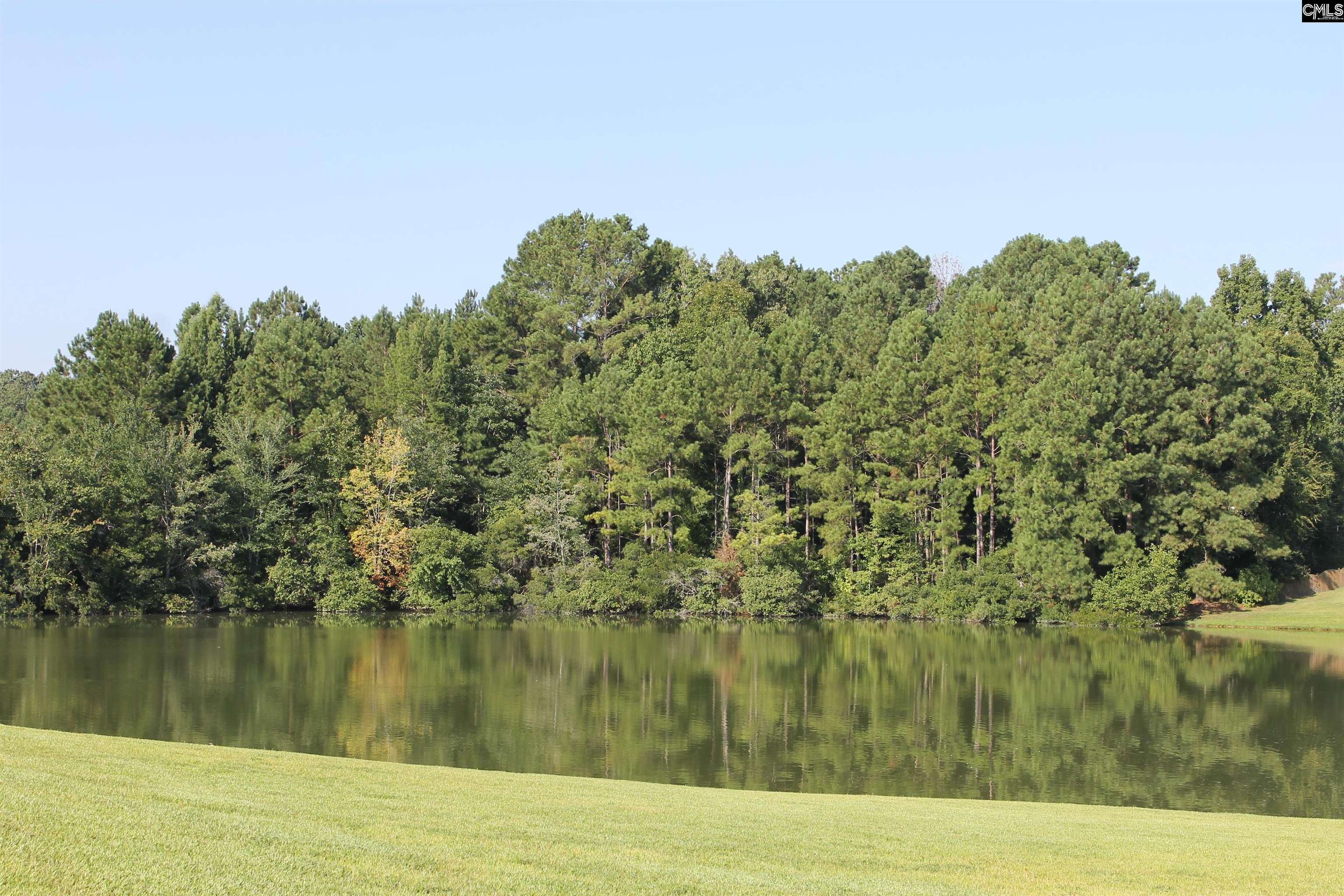 42 Upper Loop Way Columbia, SC 29212