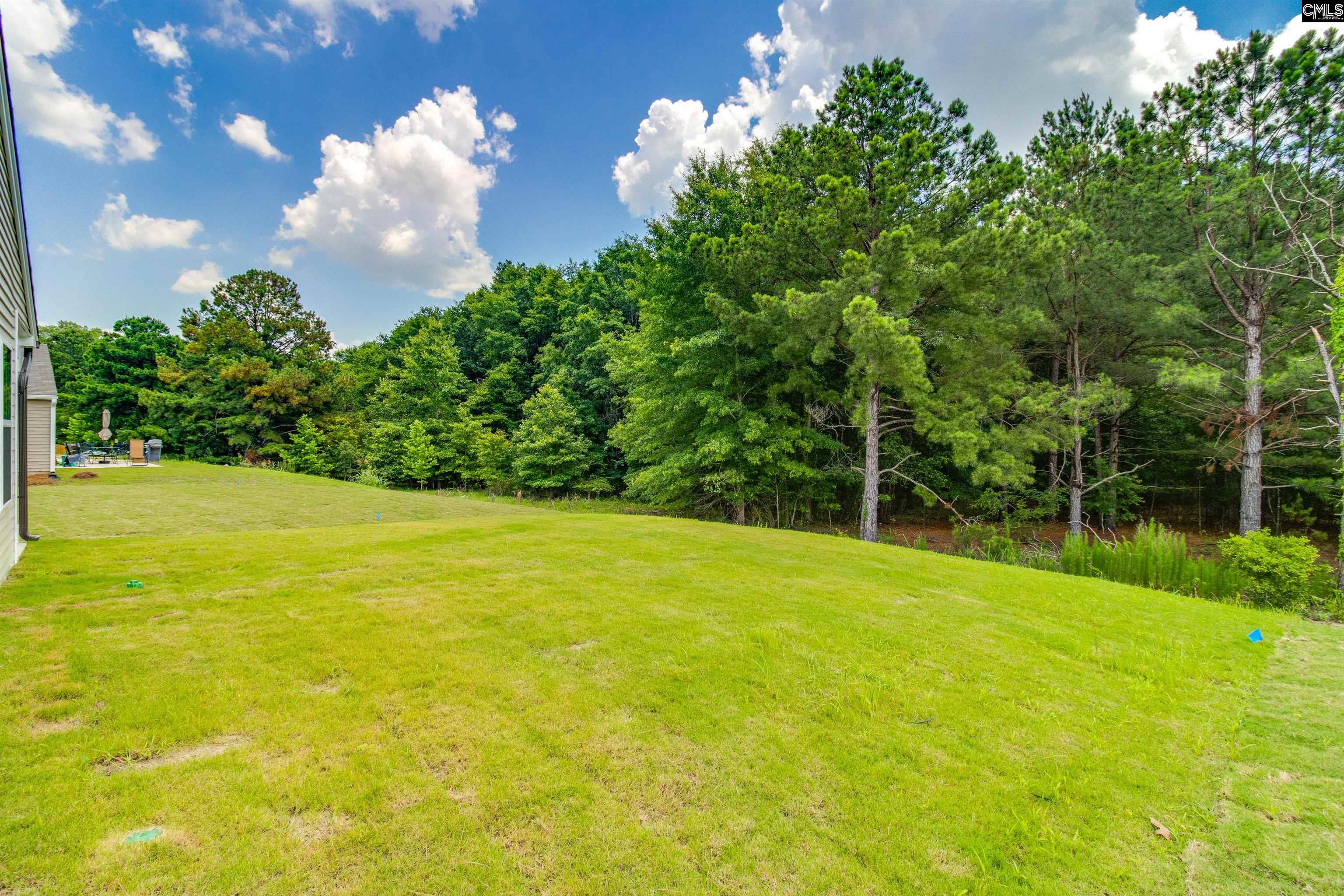 3620 Stedding Place Lexington, SC 29073