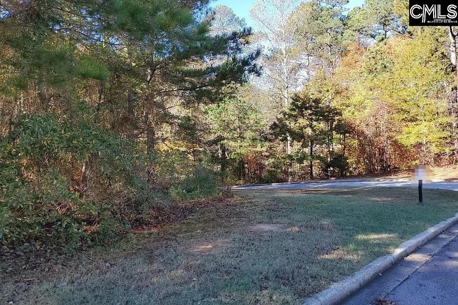 420 Links Crossing Drive UNIT #32 Blythewood, SC 29016