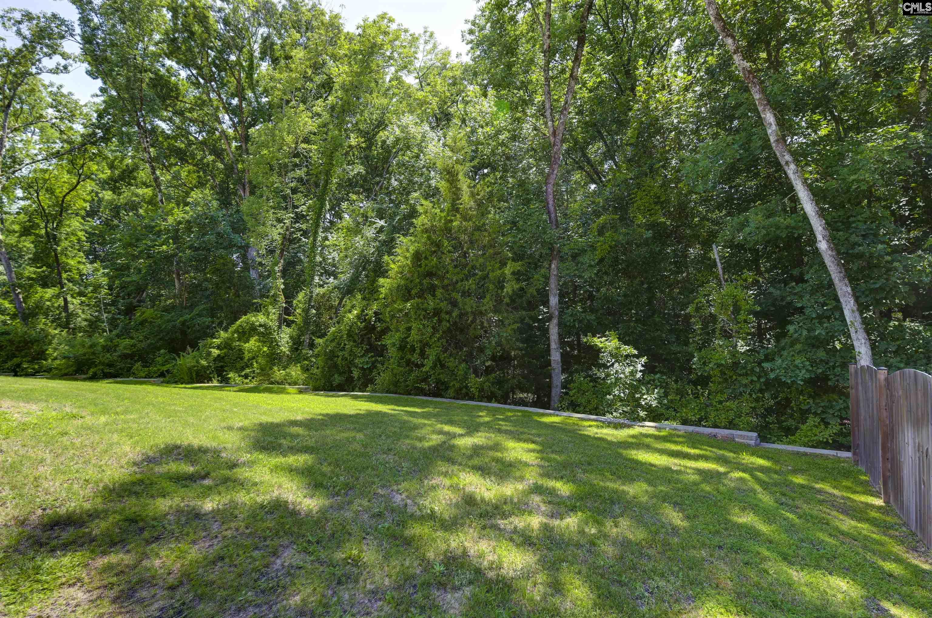 582 Stone Hollow Drive Irmo, SC 29063