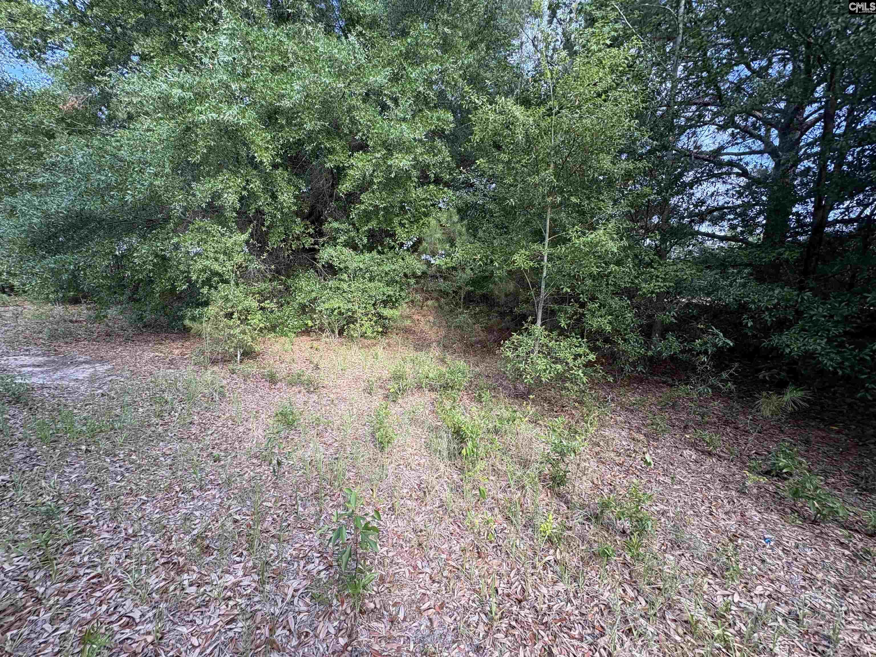 545 Flinns Road Hartsville, SC 29550